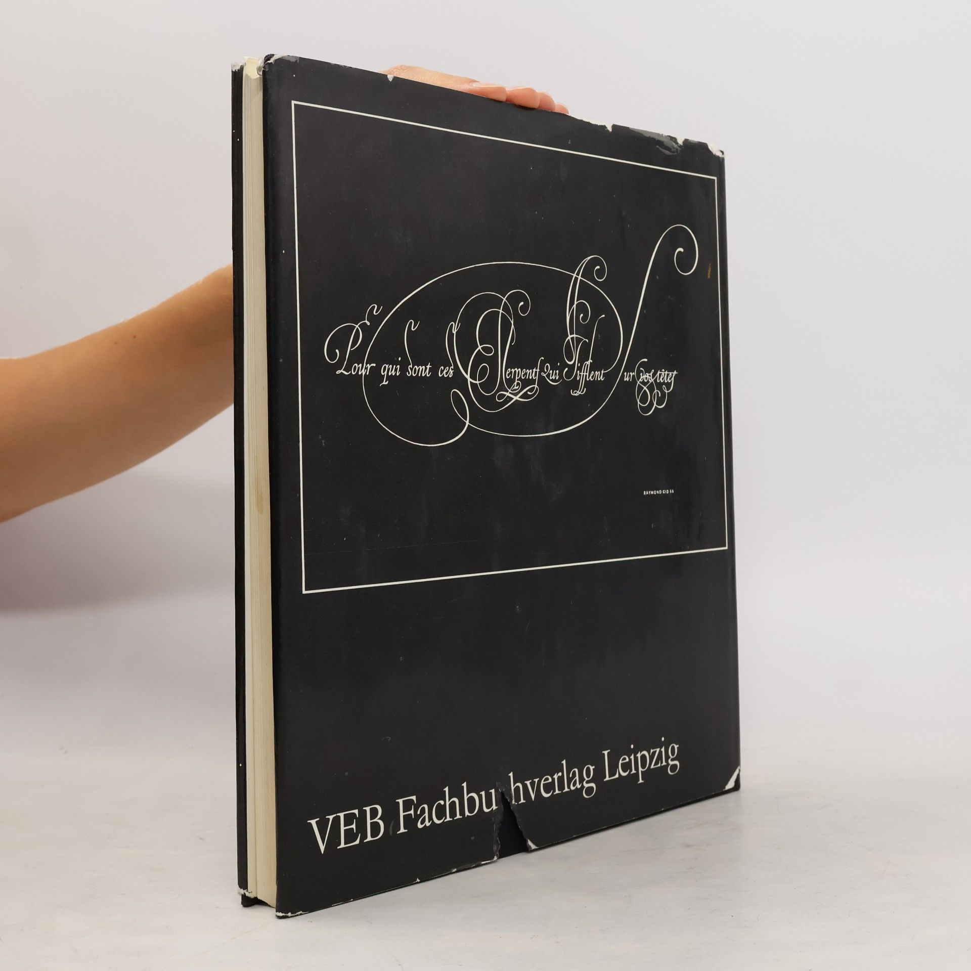 Hildegard Korger Schrift und Schreiben : ein Fachbuch für alle, die mit dem Schreiben und Zeichnen von Schriften und ihrer Anwendung zu tun haben