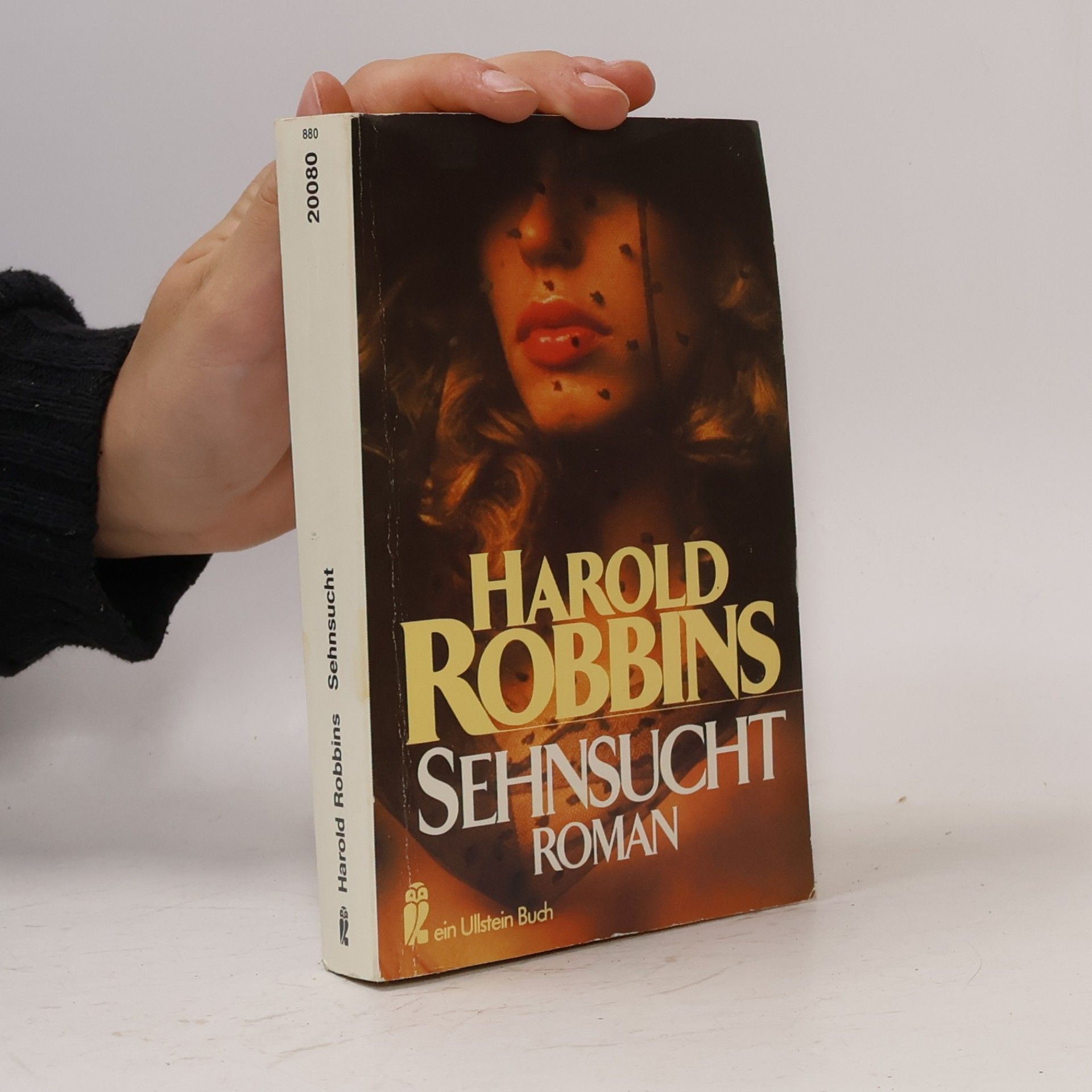 Harold Robbins Sehnsucht