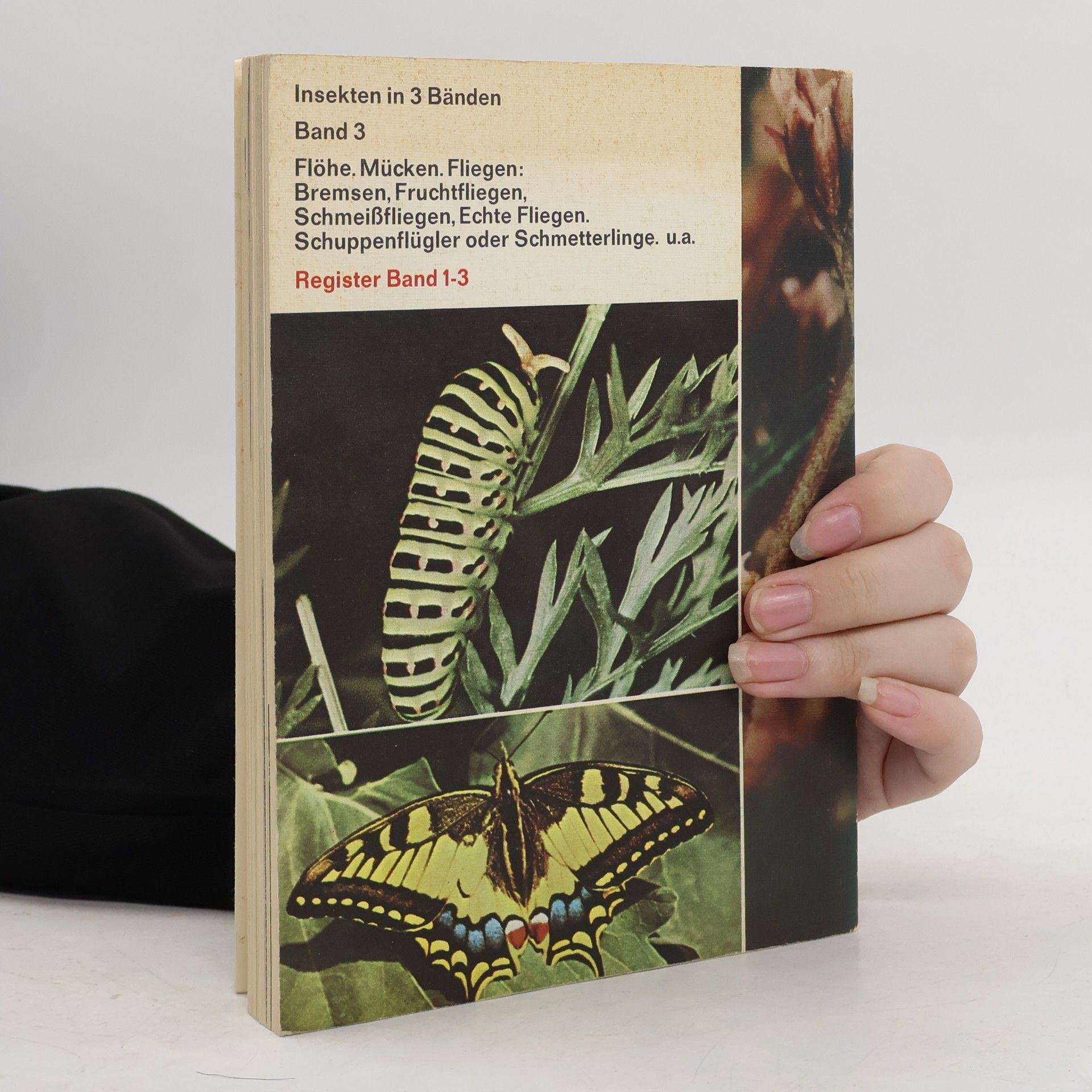 Insekten III
