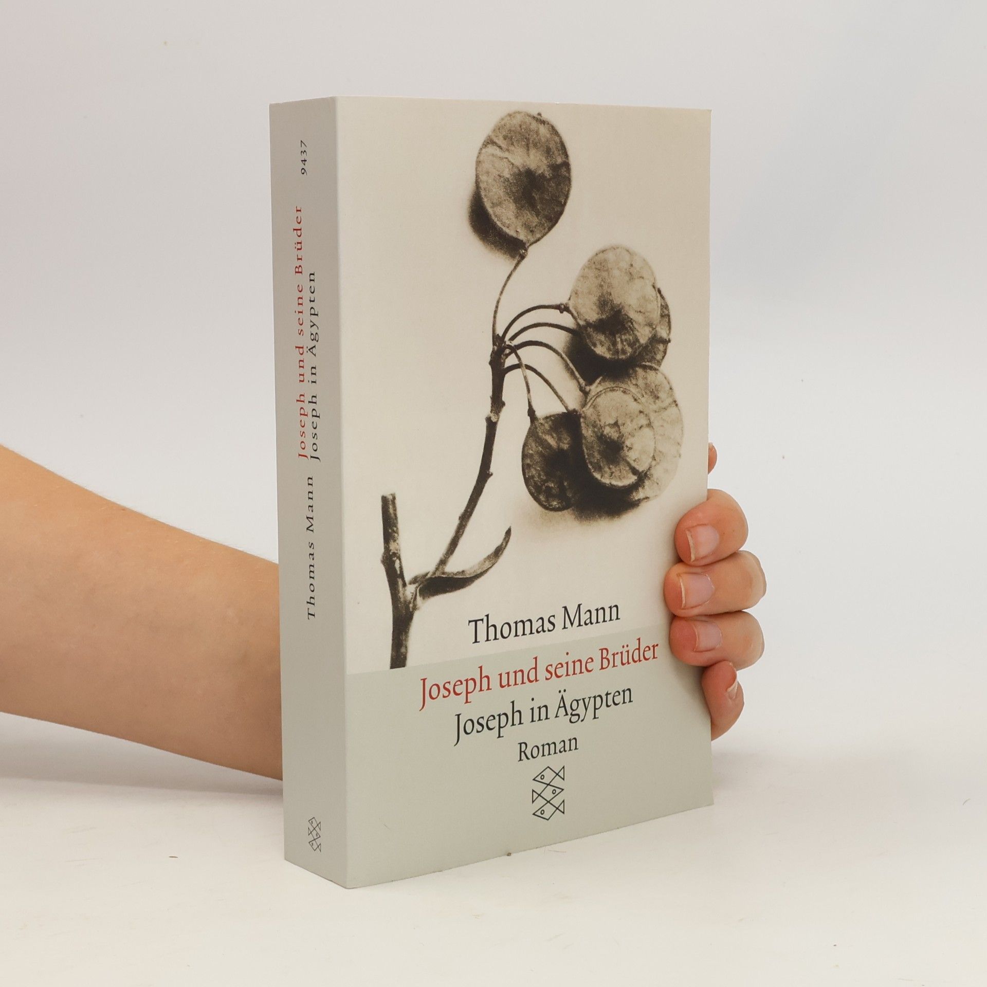 Thomas Mann Joseph und seine Brüder