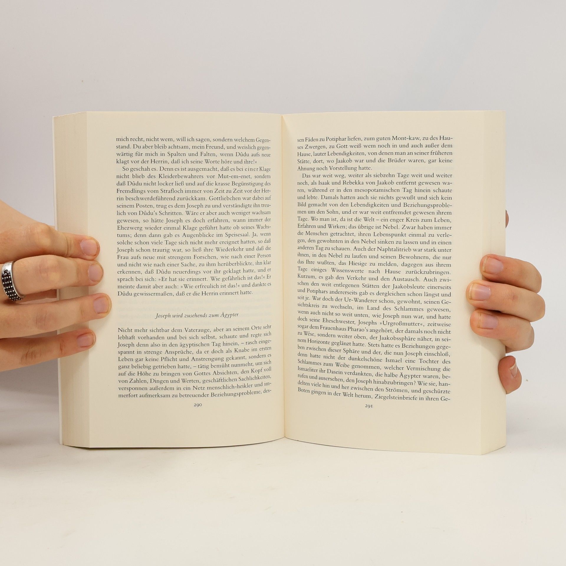 Thomas Mann Joseph und seine Brüder