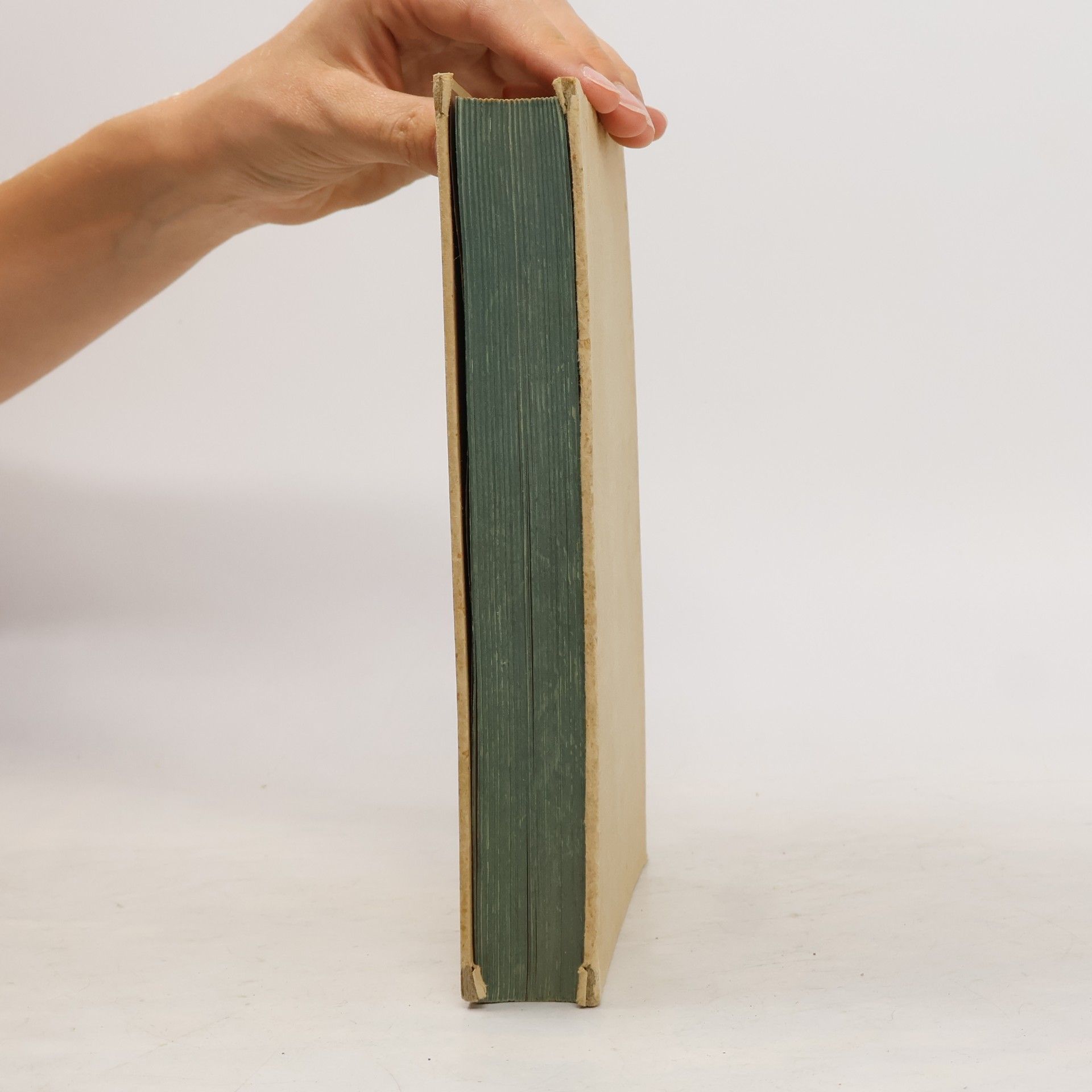 Eberhard Schnetzler Werkbuch fürs Haus