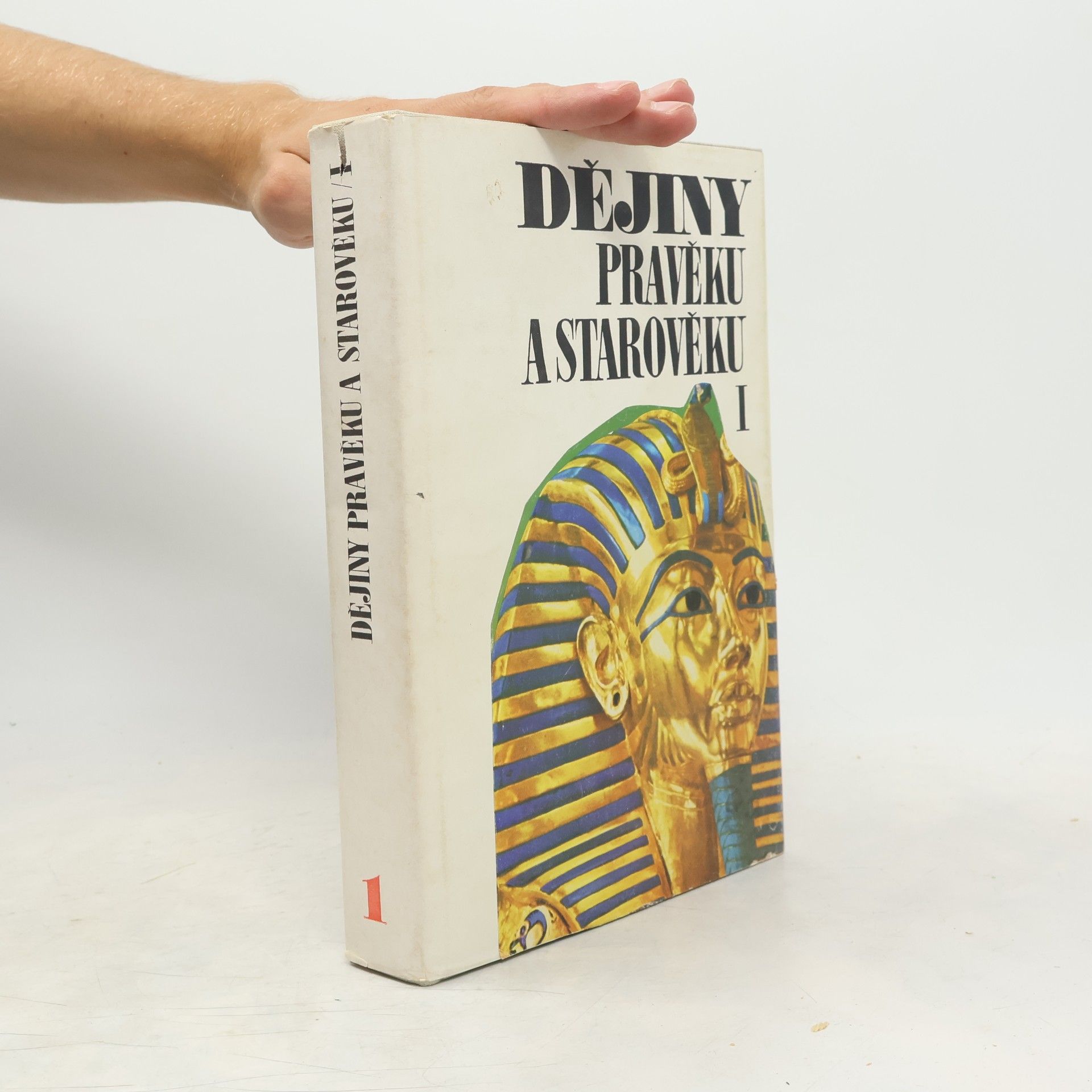 Autorenkollektiv Dějiny pravěku a starověku I.