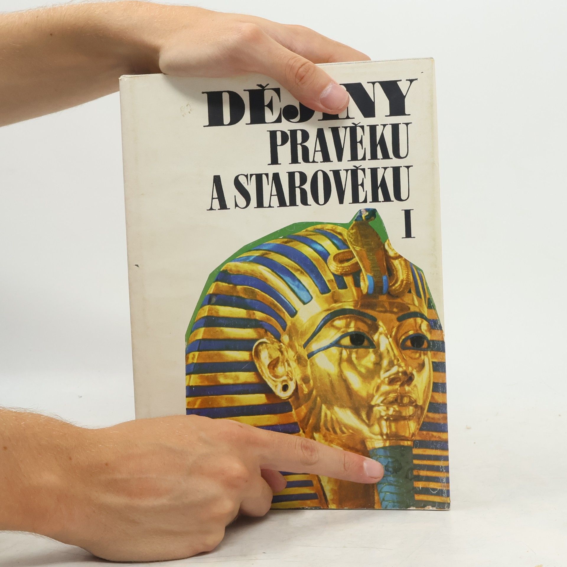Autorenkollektiv Dějiny pravěku a starověku I.