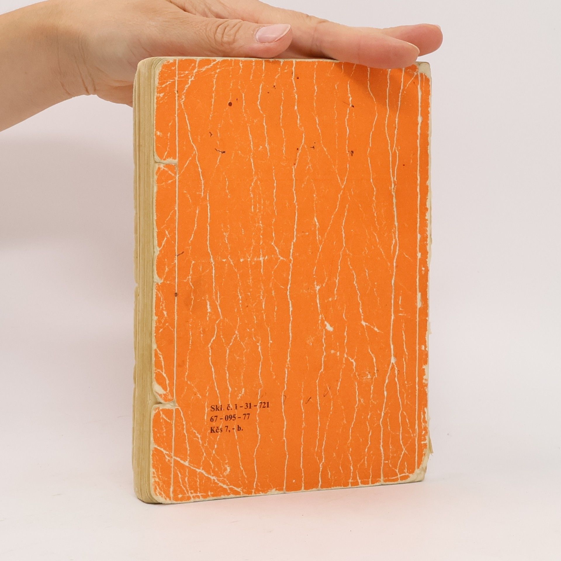 Autorenkollektiv Ruská literatúra pre 2. ročník stredných škôl
