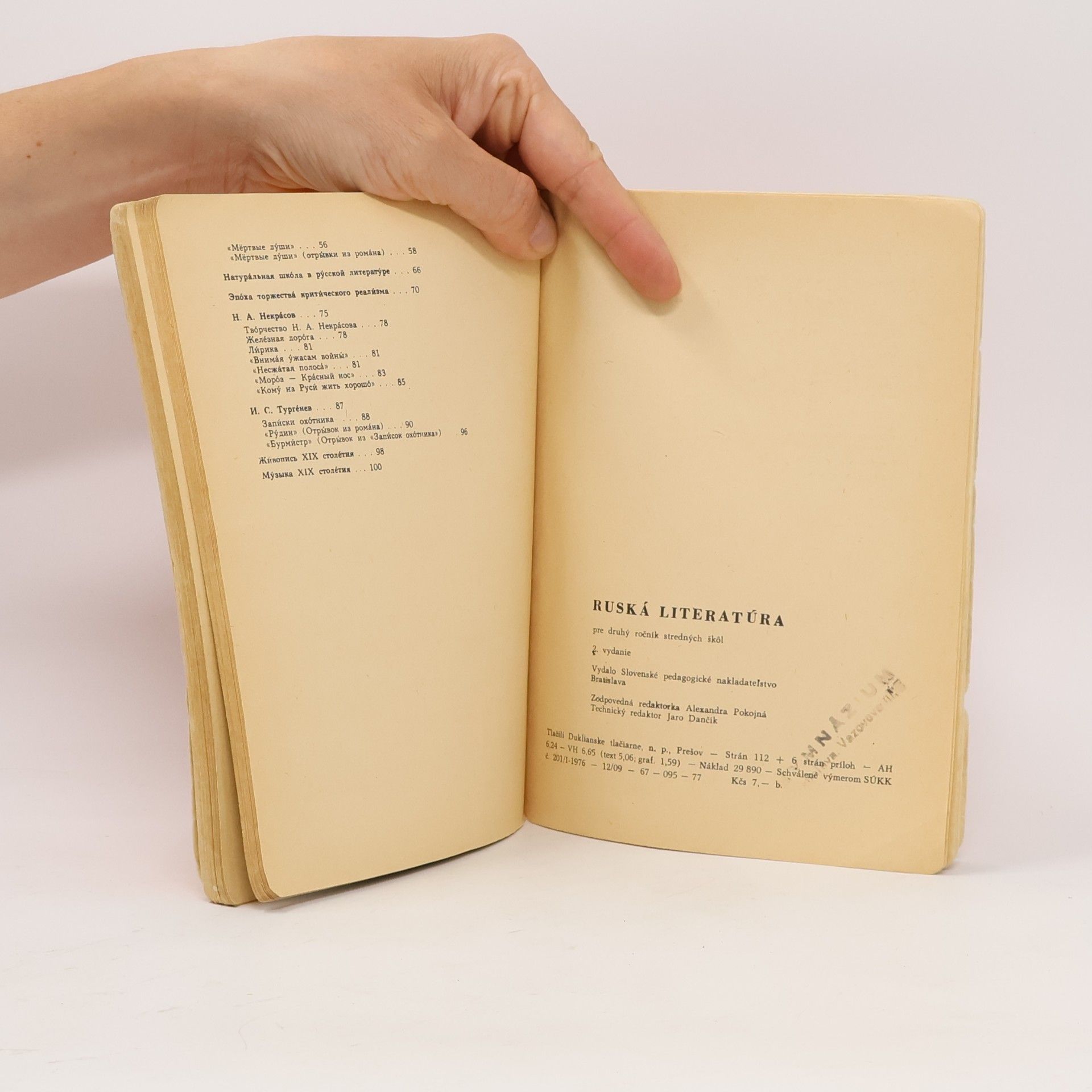 Autorenkollektiv Ruská literatúra pre 2. ročník stredných škôl