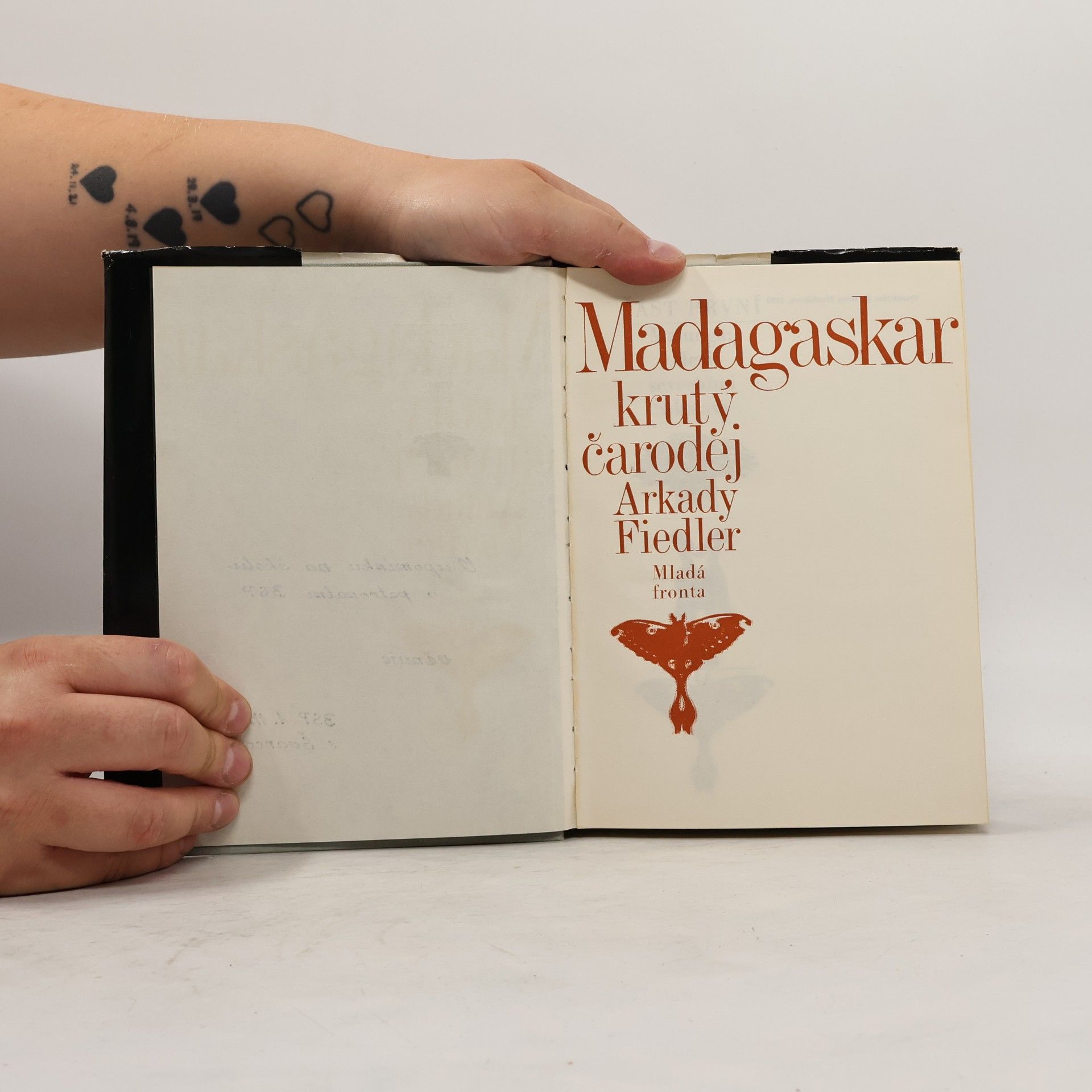 Arkady Fiedler Madagaskar, krutý čaroděj