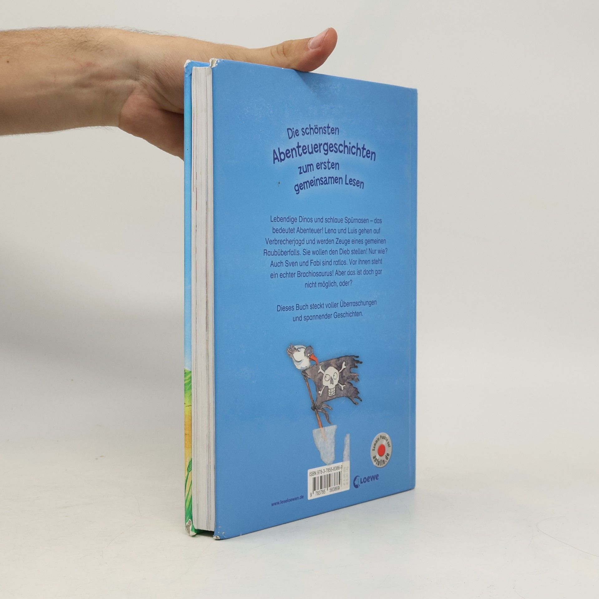 Die schönsten Abenteuergeschichten zum ersten gemeinsamen Lesen