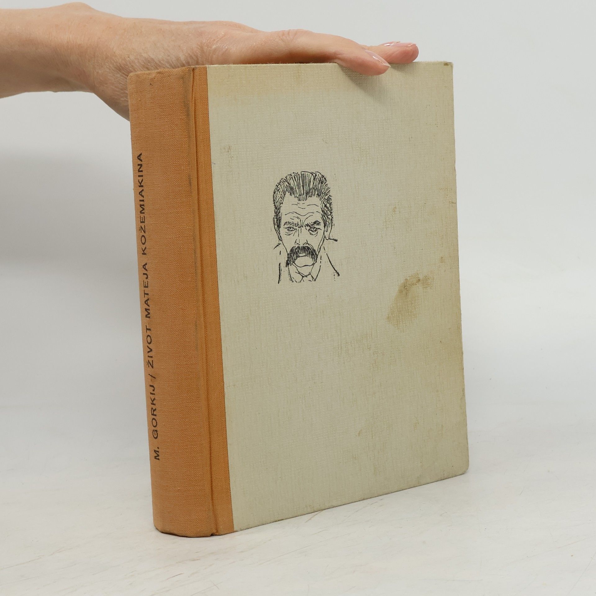 Maxim Gorkij Život Mateja Kožemiakina