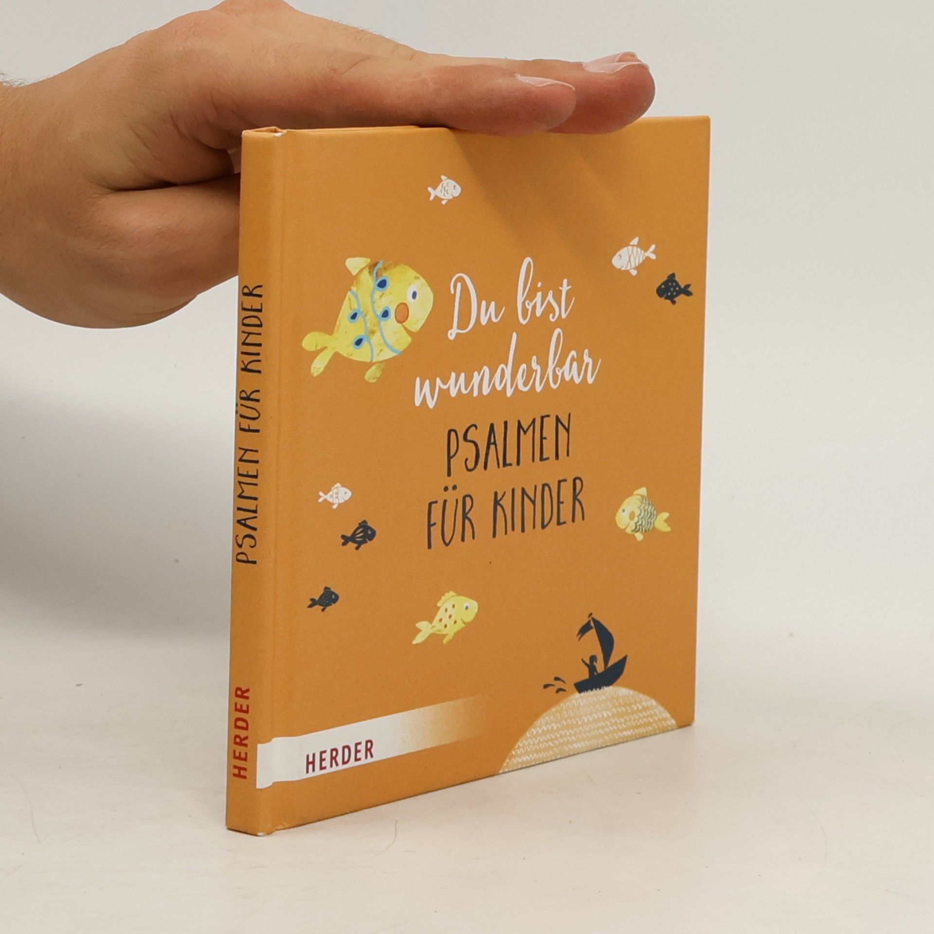 Irmi Riedl Du bist wunderbar - Psalmen für Kinder