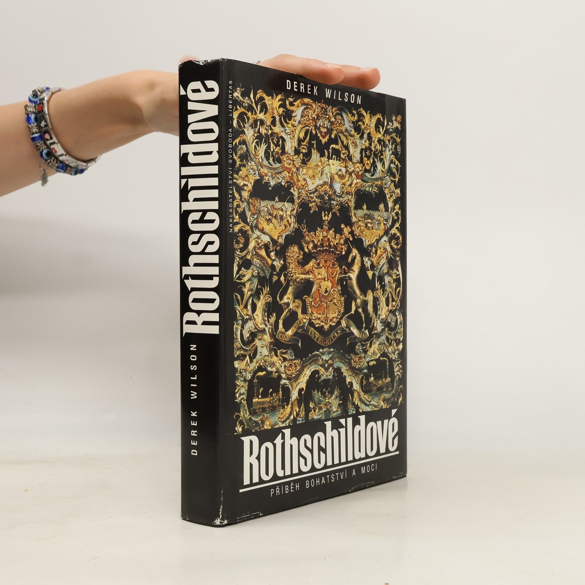 Derek Wilson Rothschildové. Příběh bohatství a moci