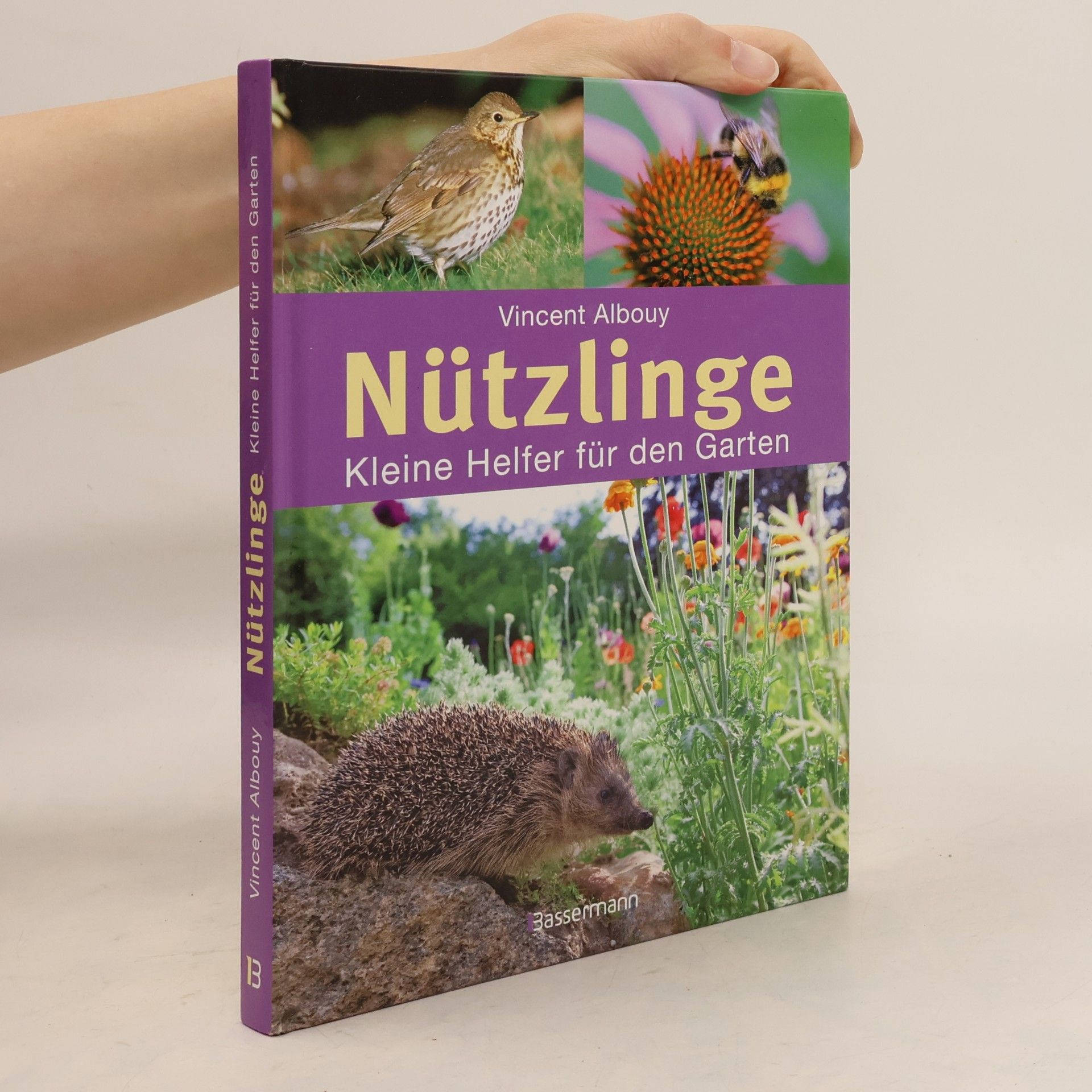 Vincent Albouy Nützlinge