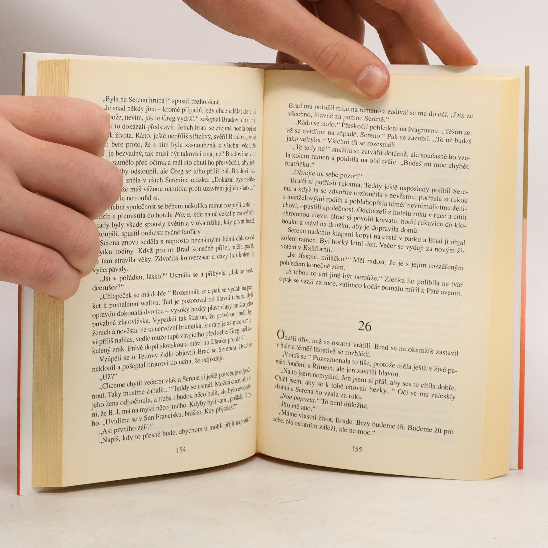 Danielle Steel Střípky vzpomínek