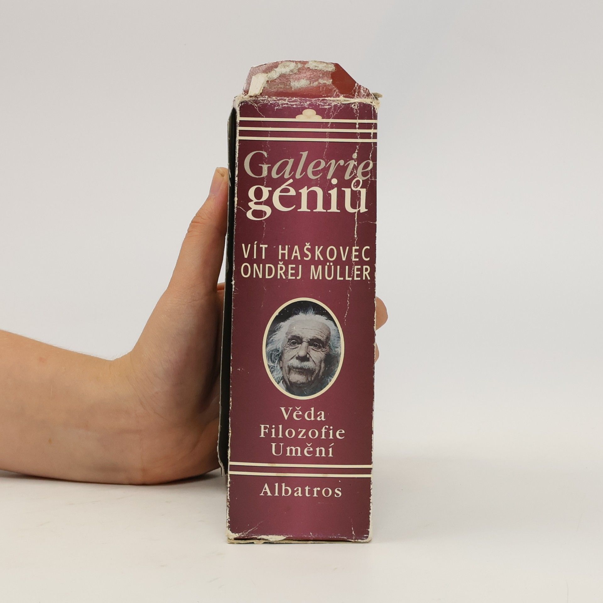 Vít Haškovec Galerie géniů, aneb, Kdo byl kdo