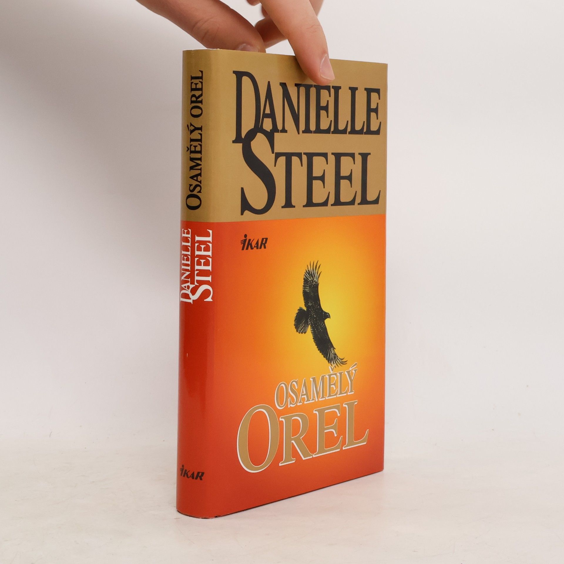 Danielle Steel Osamělý orel