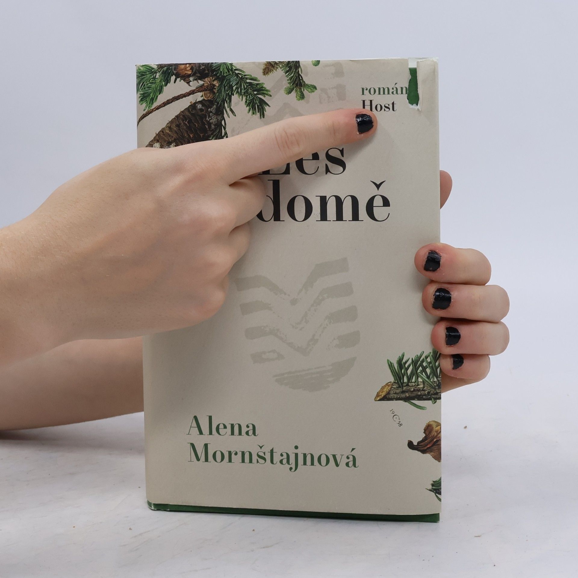 Alena Mornštajnová Les v domě
