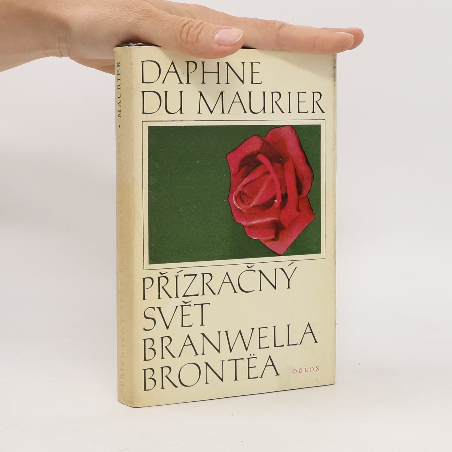 Přízračný svět Branwella Brontëa