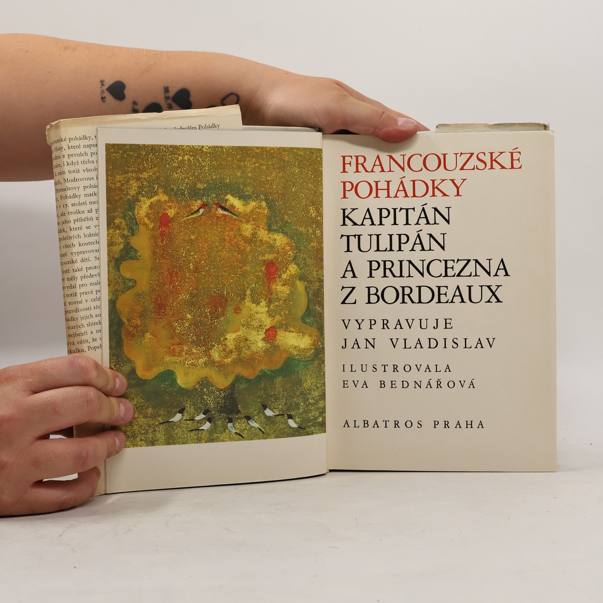 Ján Vladislav Kapitán Tulipán a princezna z Bordeaux