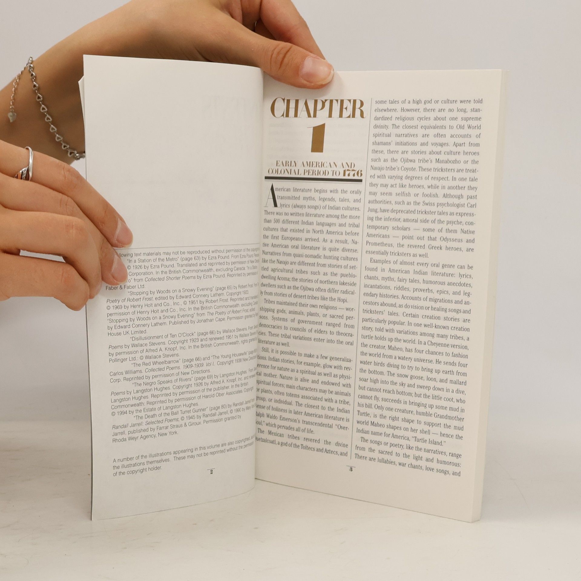 Kolektiv autorů Outline of American Literature