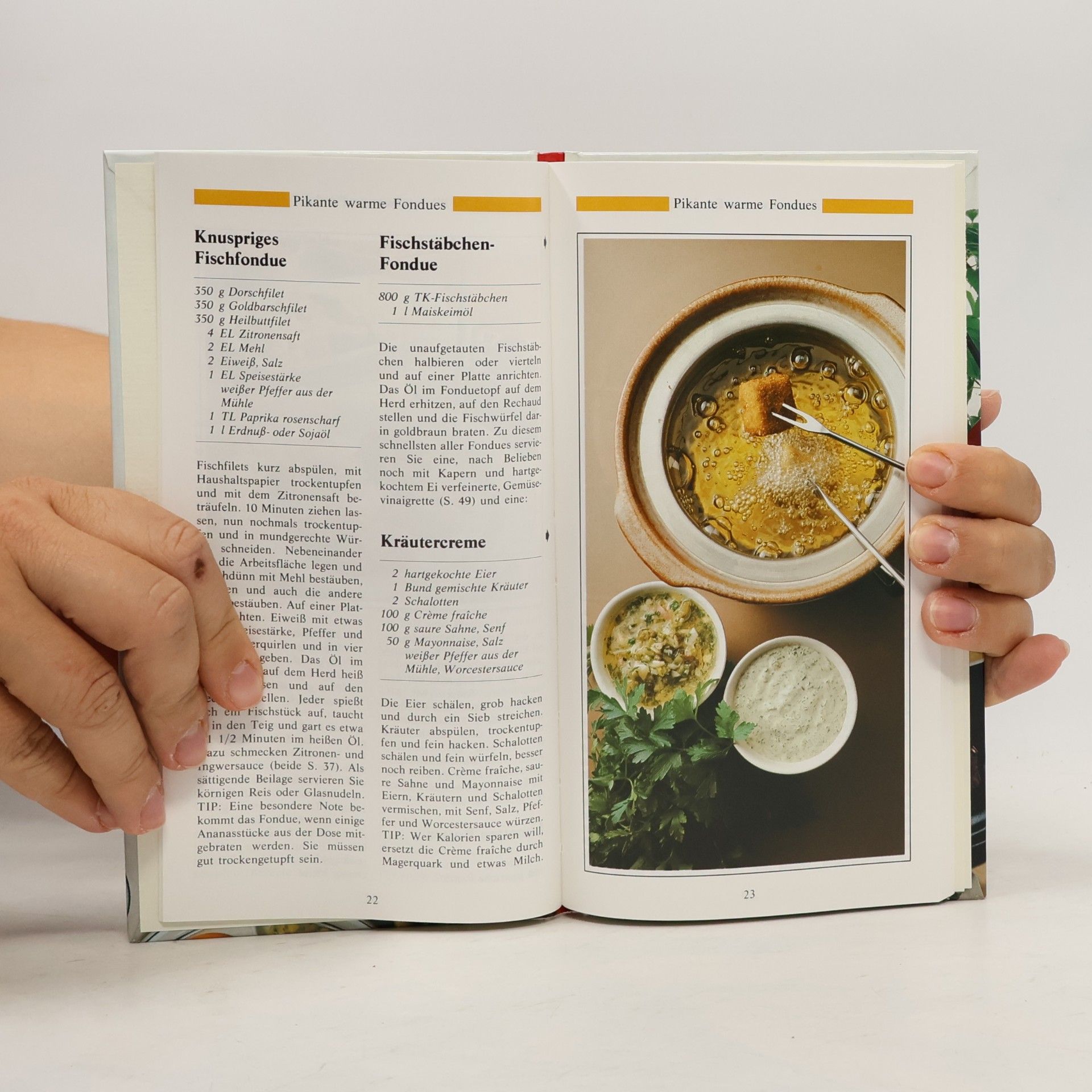 Autorenkollektiv Fondues und Raclettes