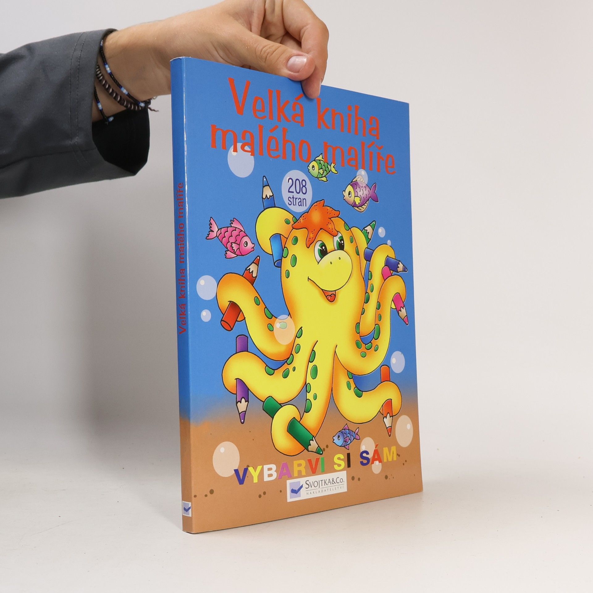 Kolektiv autorů Velká kniha malého malíře