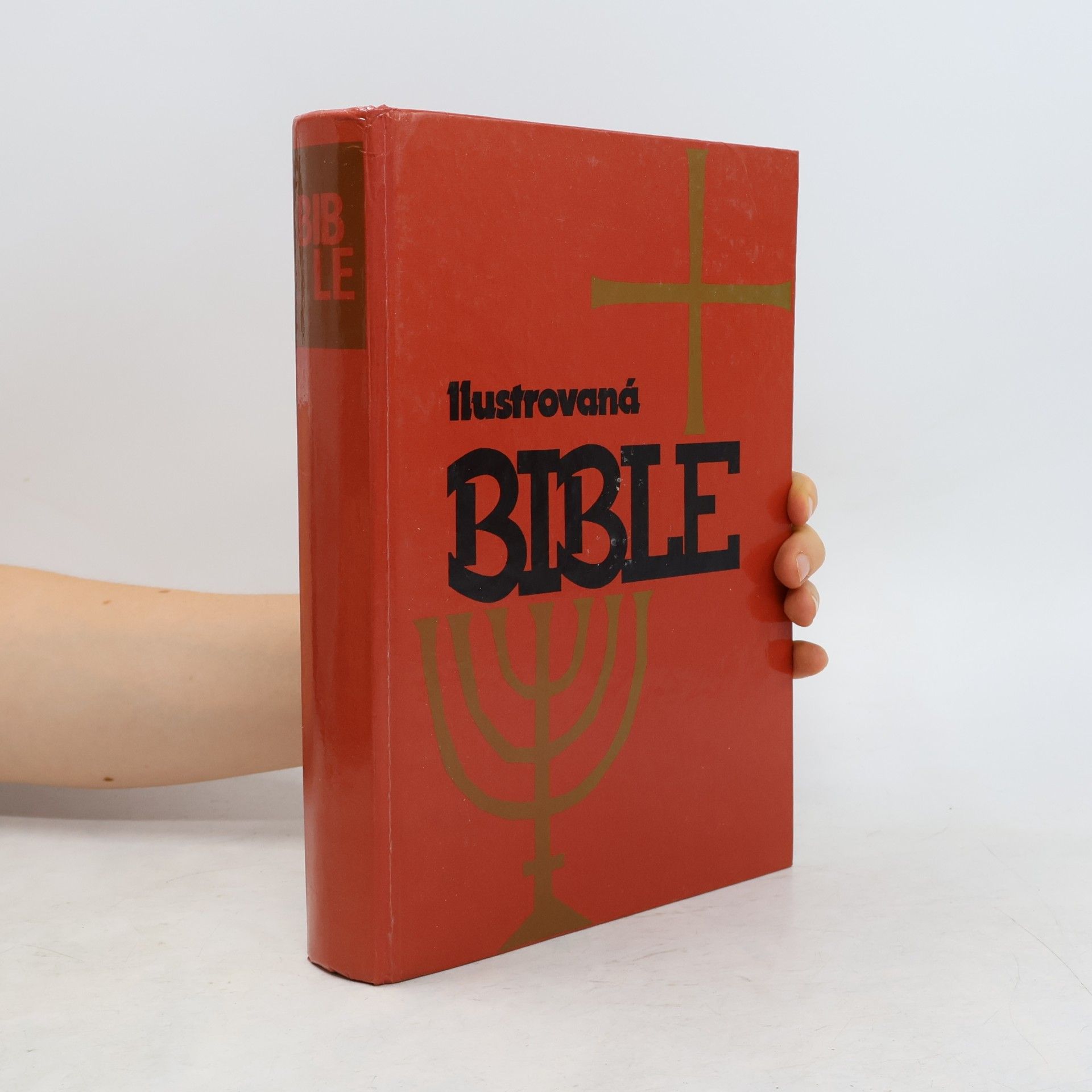Samuel Terrien Ilustrovaná Bible pro mládež