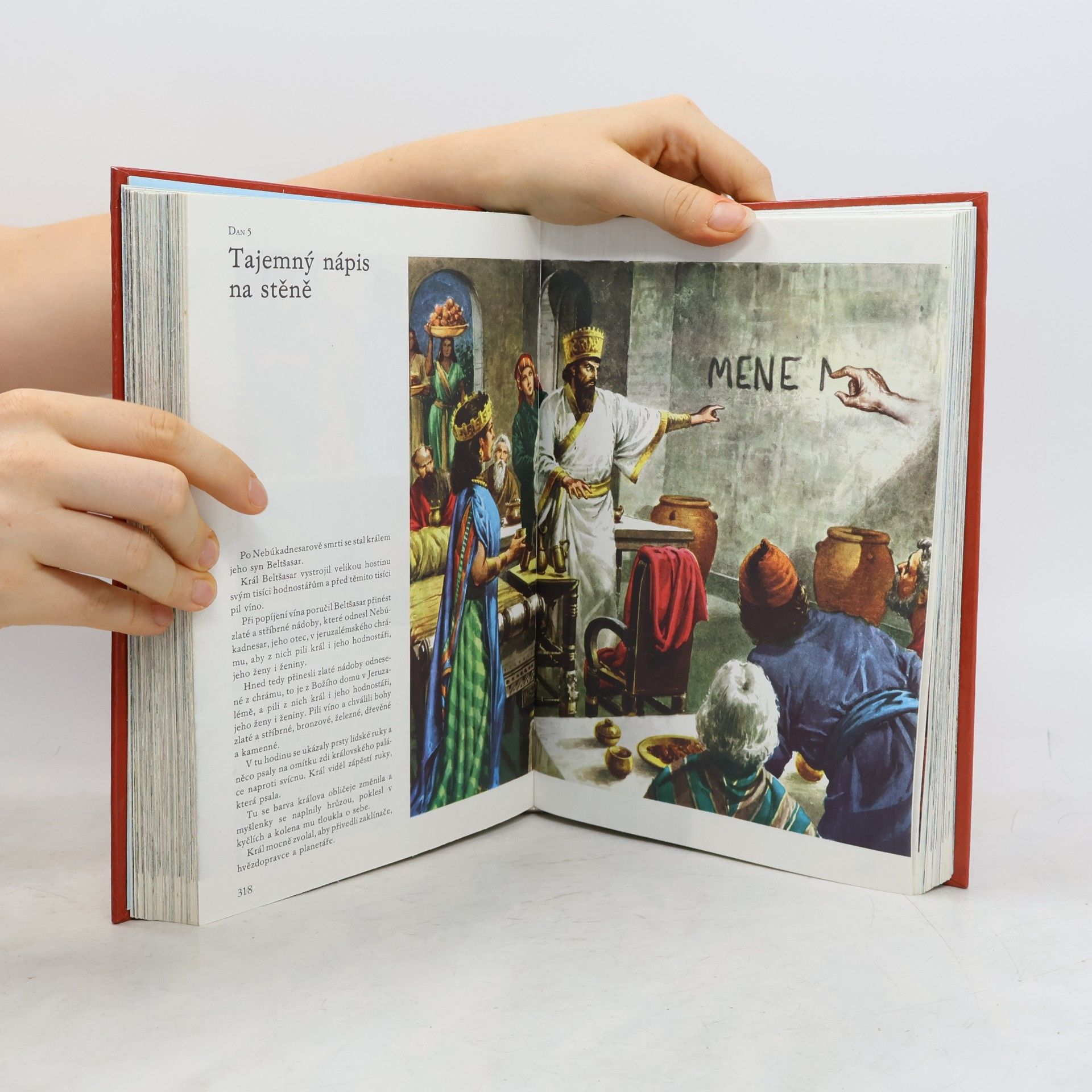 Samuel Terrien Ilustrovaná Bible pro mládež