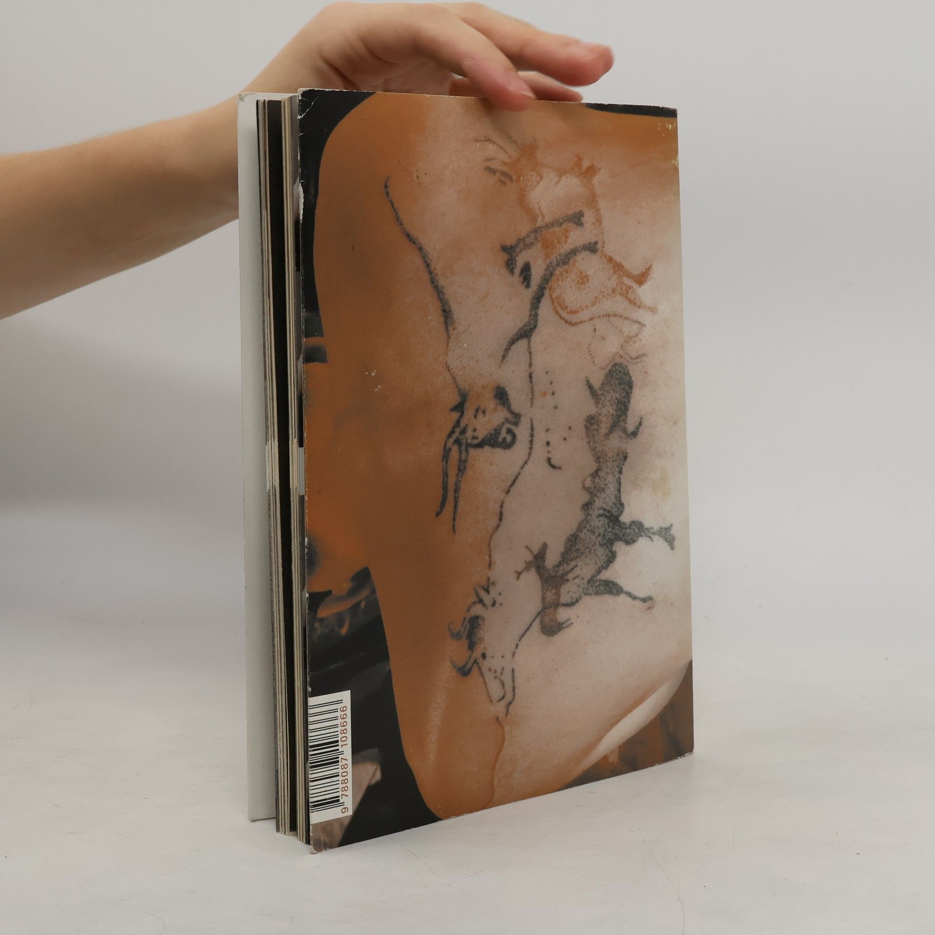 Autorenkollektiv Poke Poke Poke. Fanzine outsalonového tetování