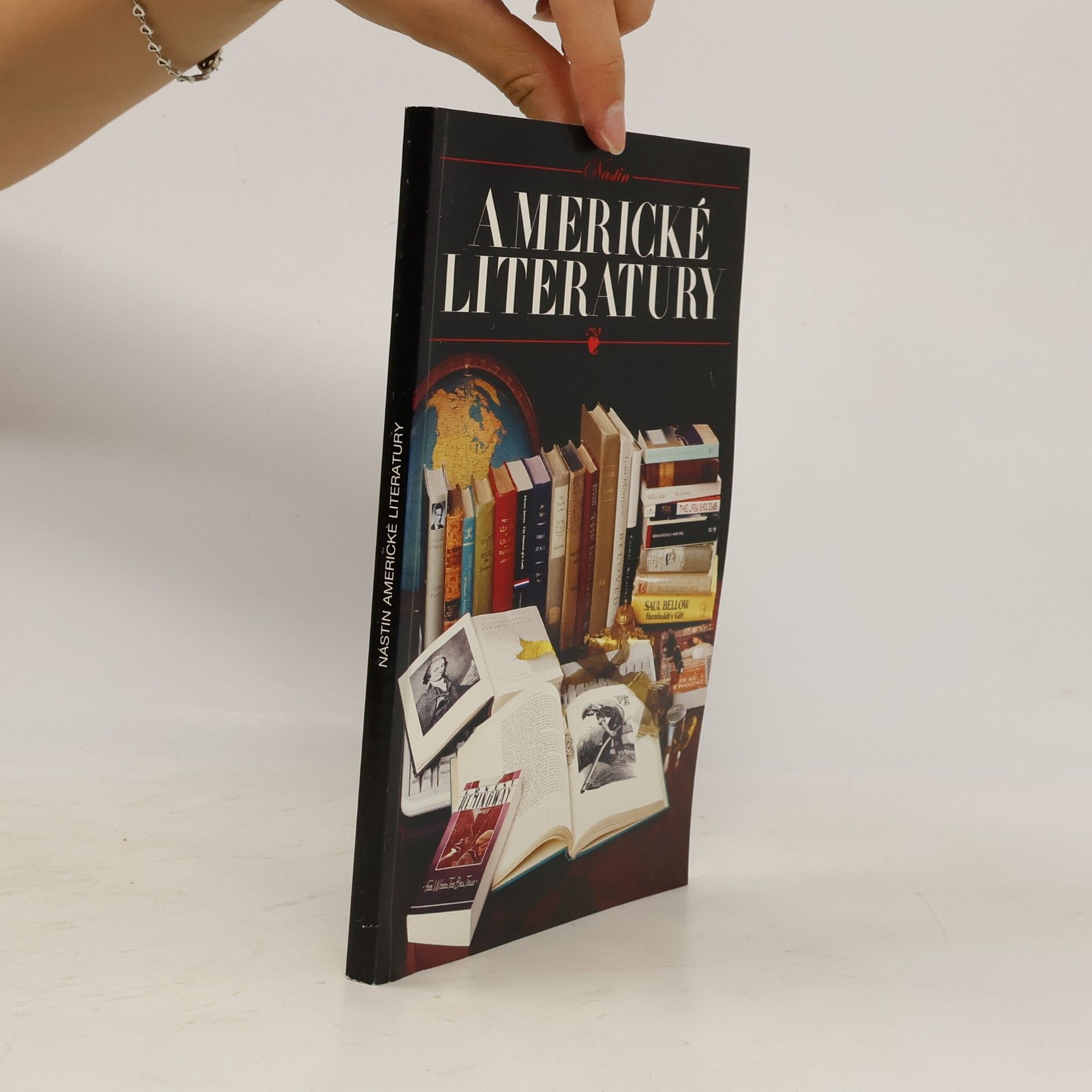 Kathryn VanSpanckeren Nástin americké literatury