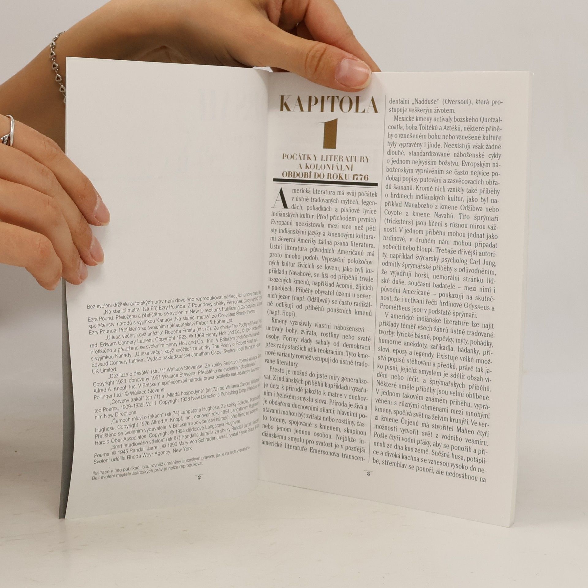 Kathryn VanSpanckeren Nástin americké literatury