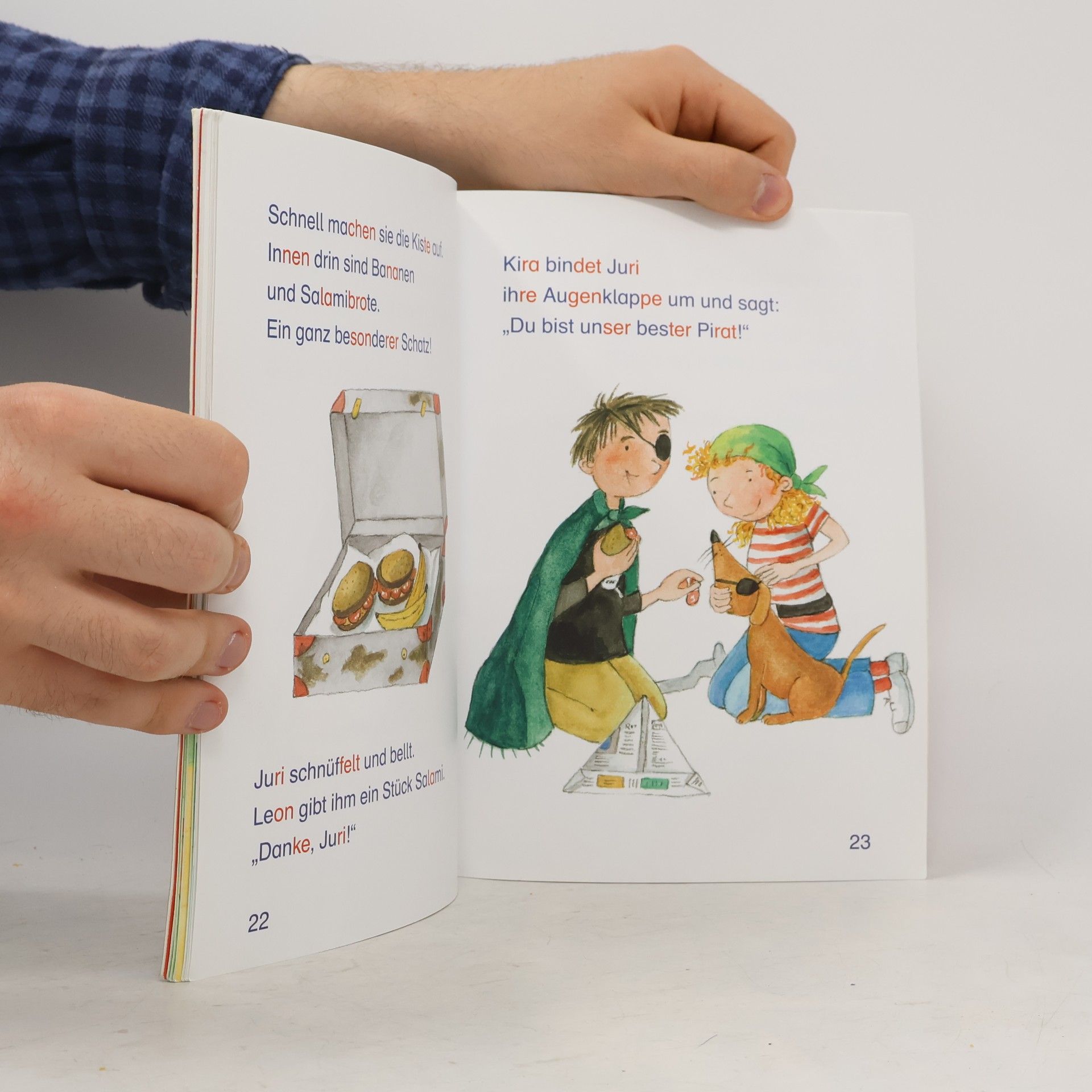 Henriette Wich Der Piratenhund und andere Tiergeschichten