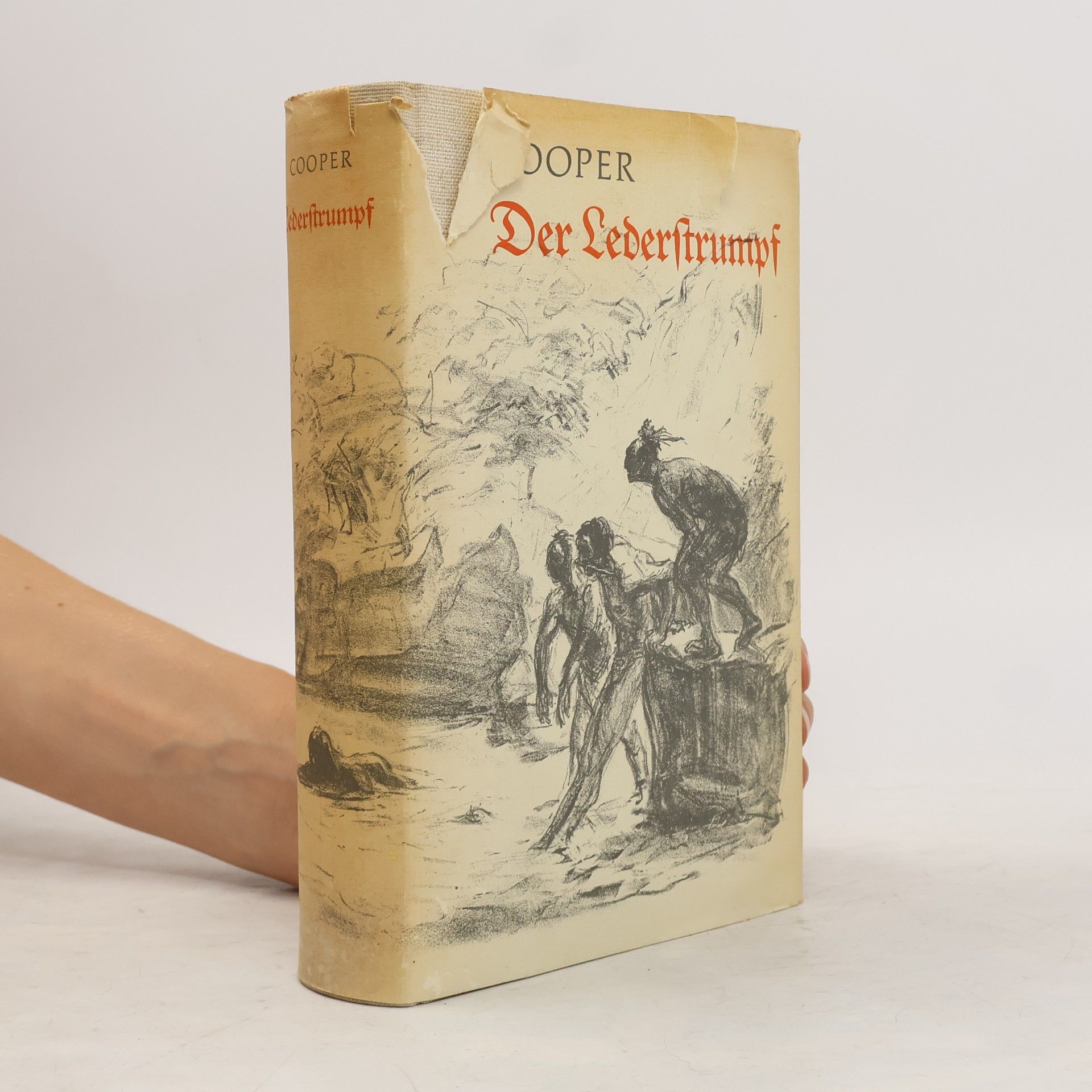 James Fenimore Cooper Der Lederstrumpf