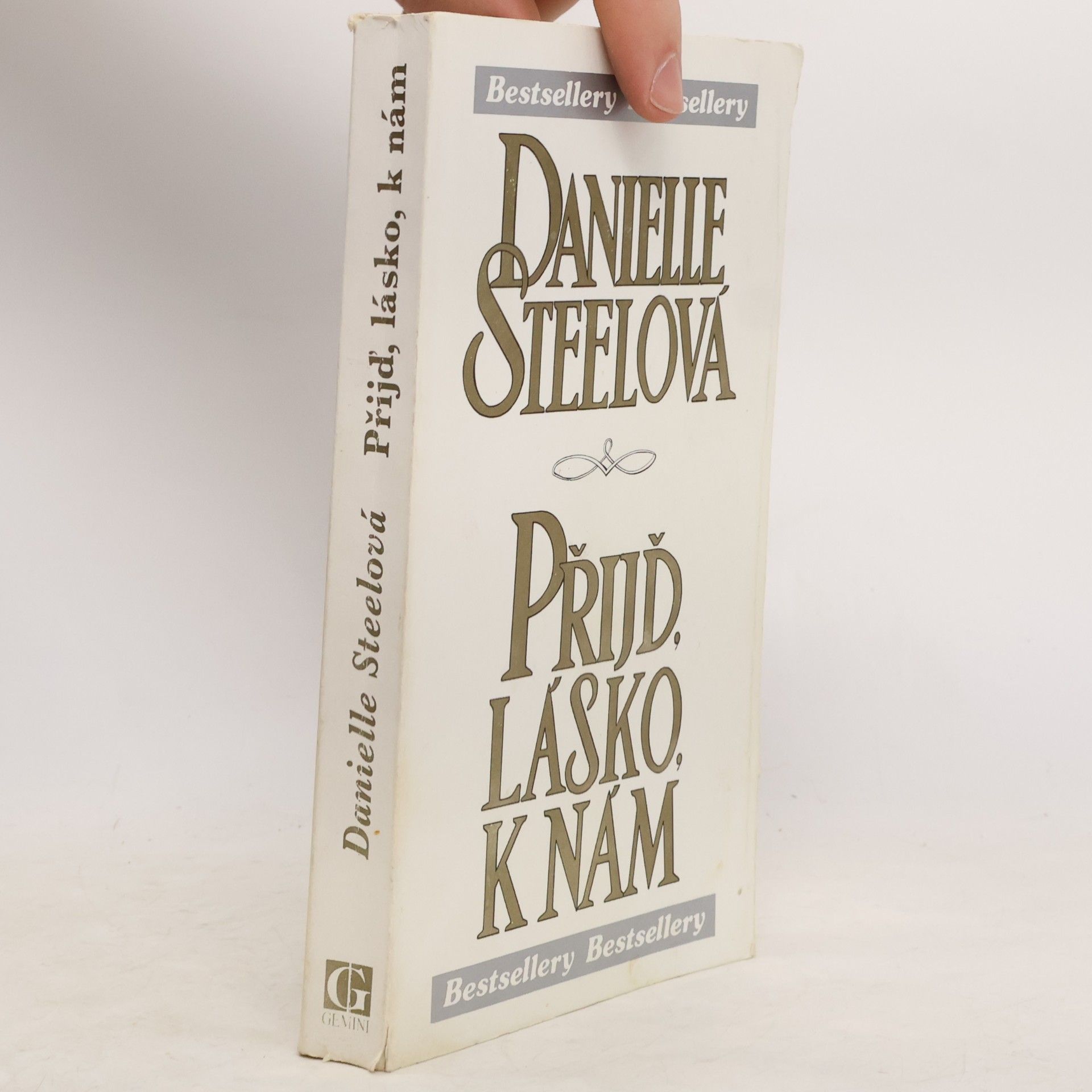 Danielle Steel Přijď, lásko, k nám