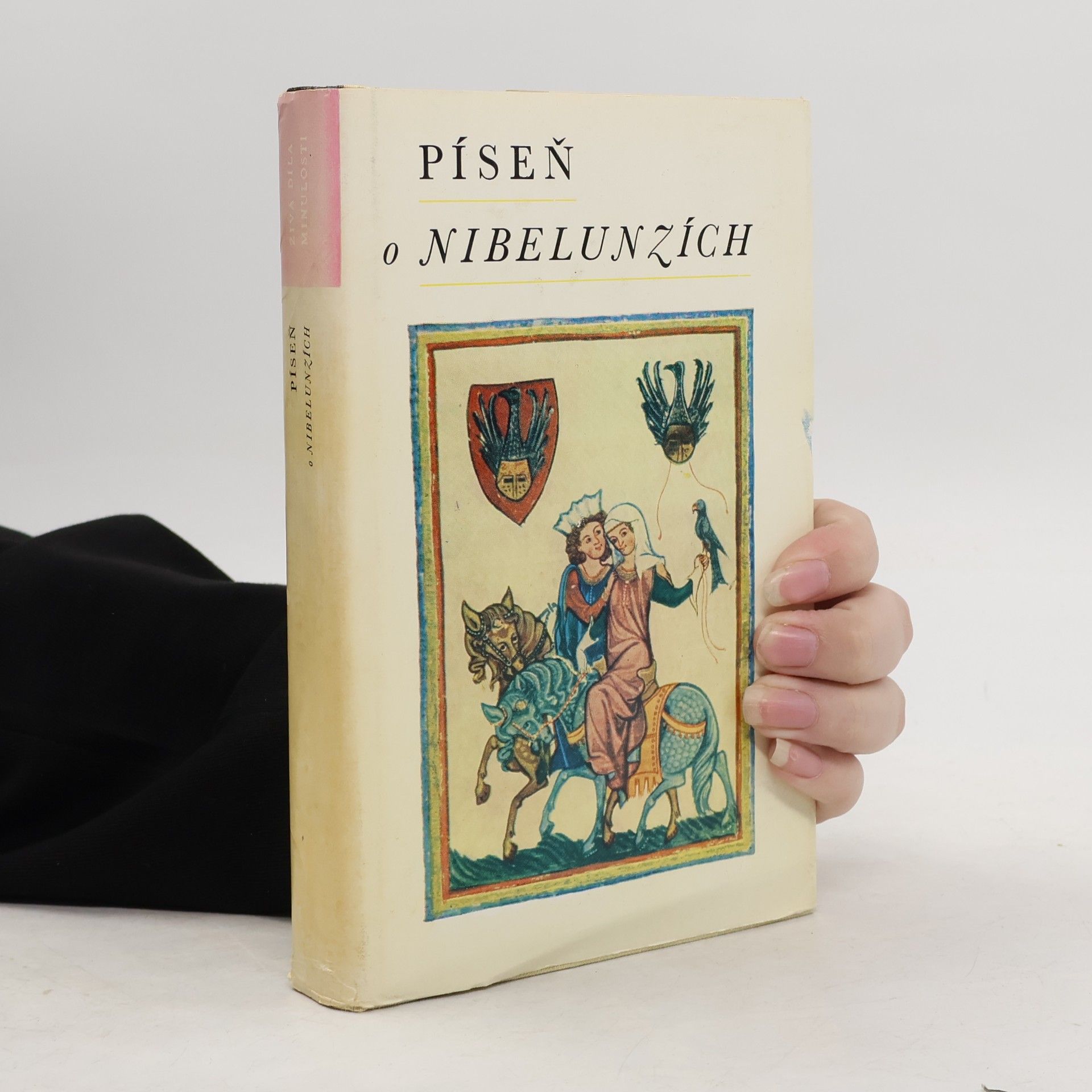 Pavel Trost Píseň o Nibelunzích