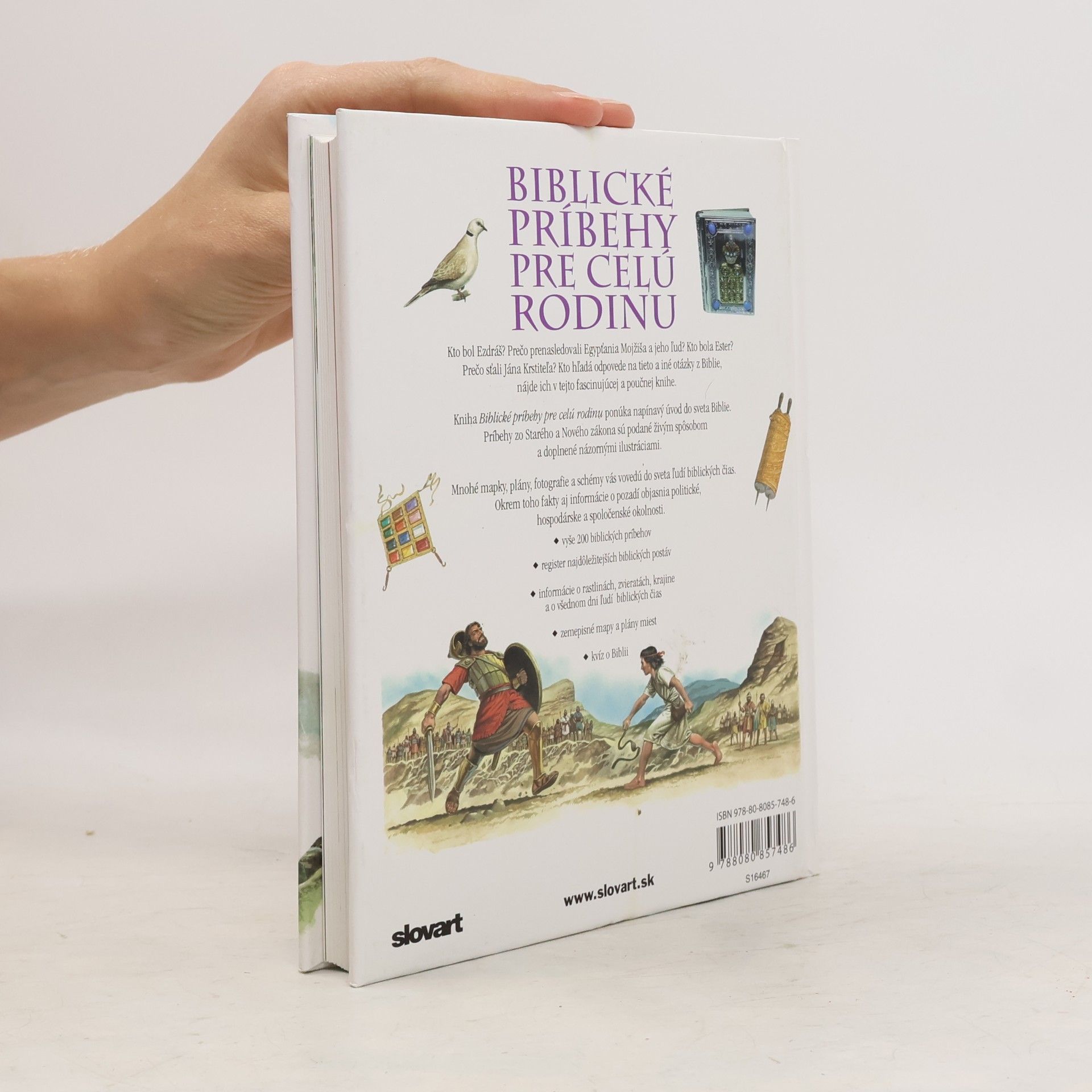 Autorenkollektiv Biblické príbehy pre celú rodinu