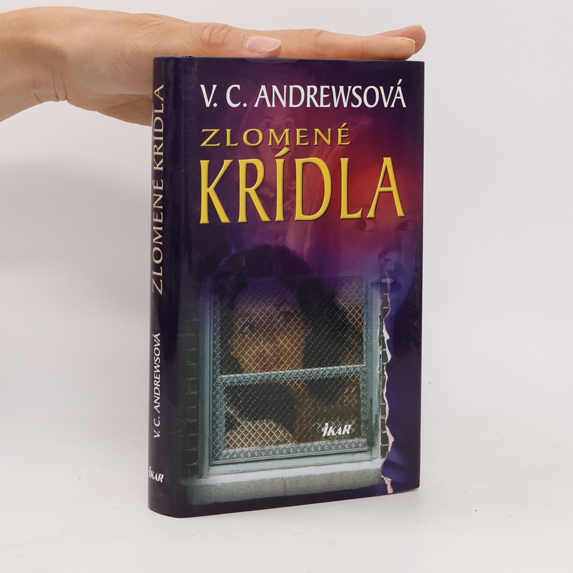 Virginia C. Andrewsová Zlomené krídla