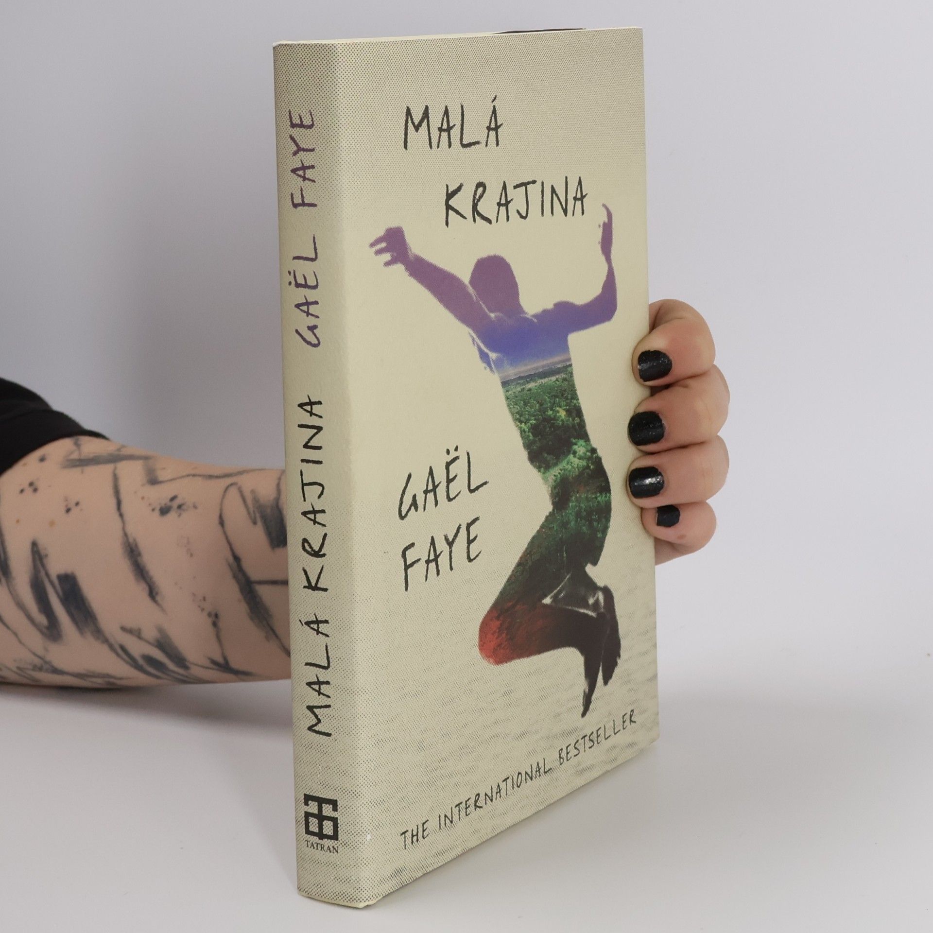 Gaël Faye Malá krajina