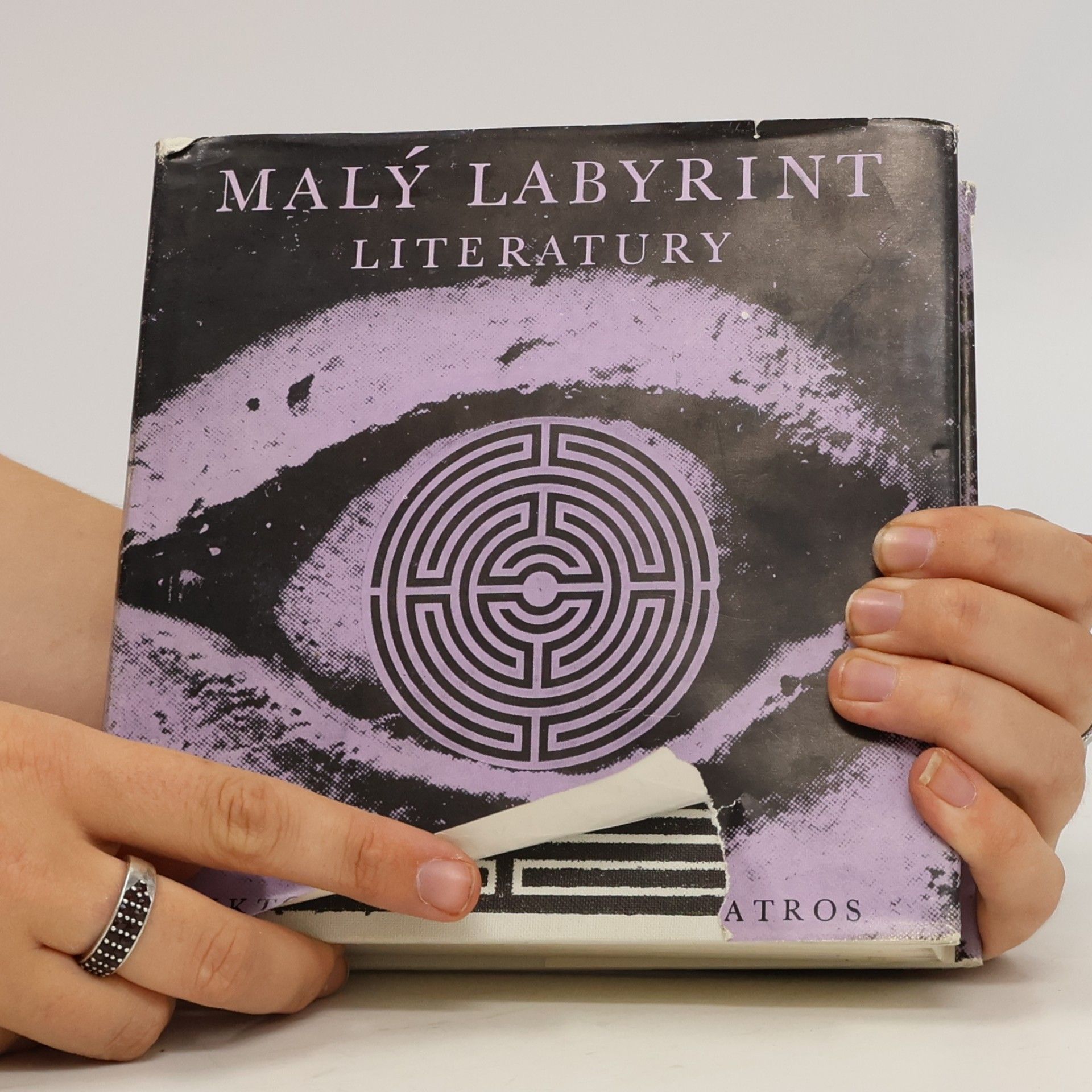 Viktor Kudělka Malý labyrint literatury