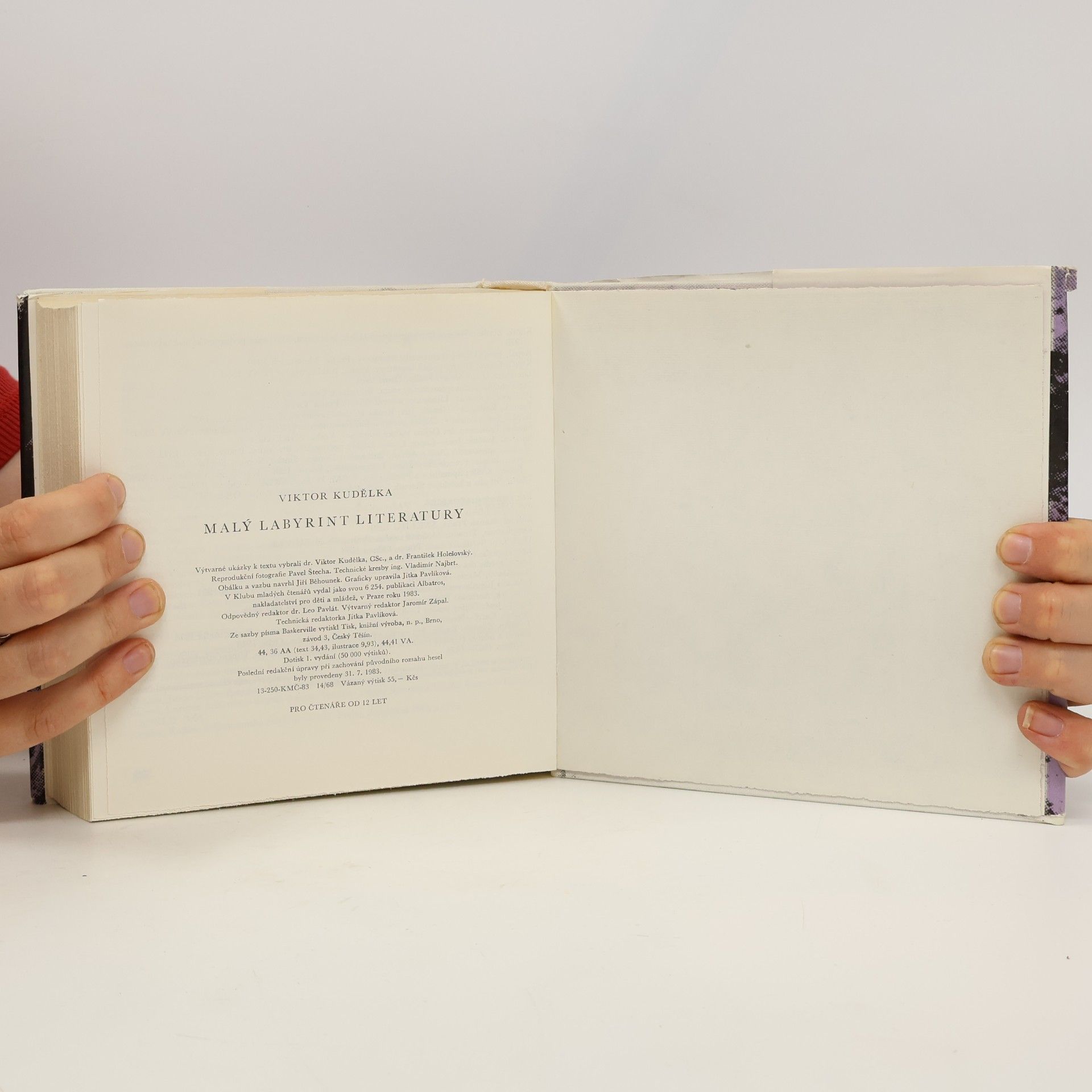 Viktor Kudělka Malý labyrint literatury