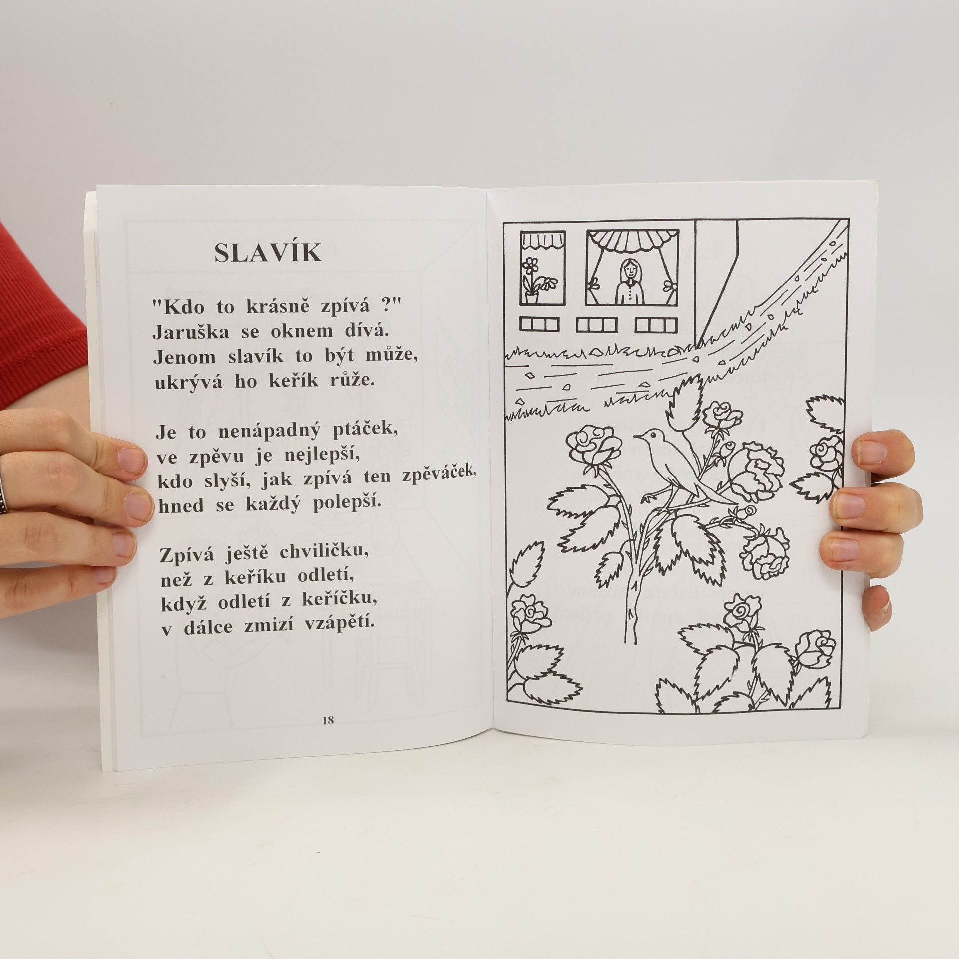 Kolektiv autorů Na louce a v lese. Básničky a omalovánky