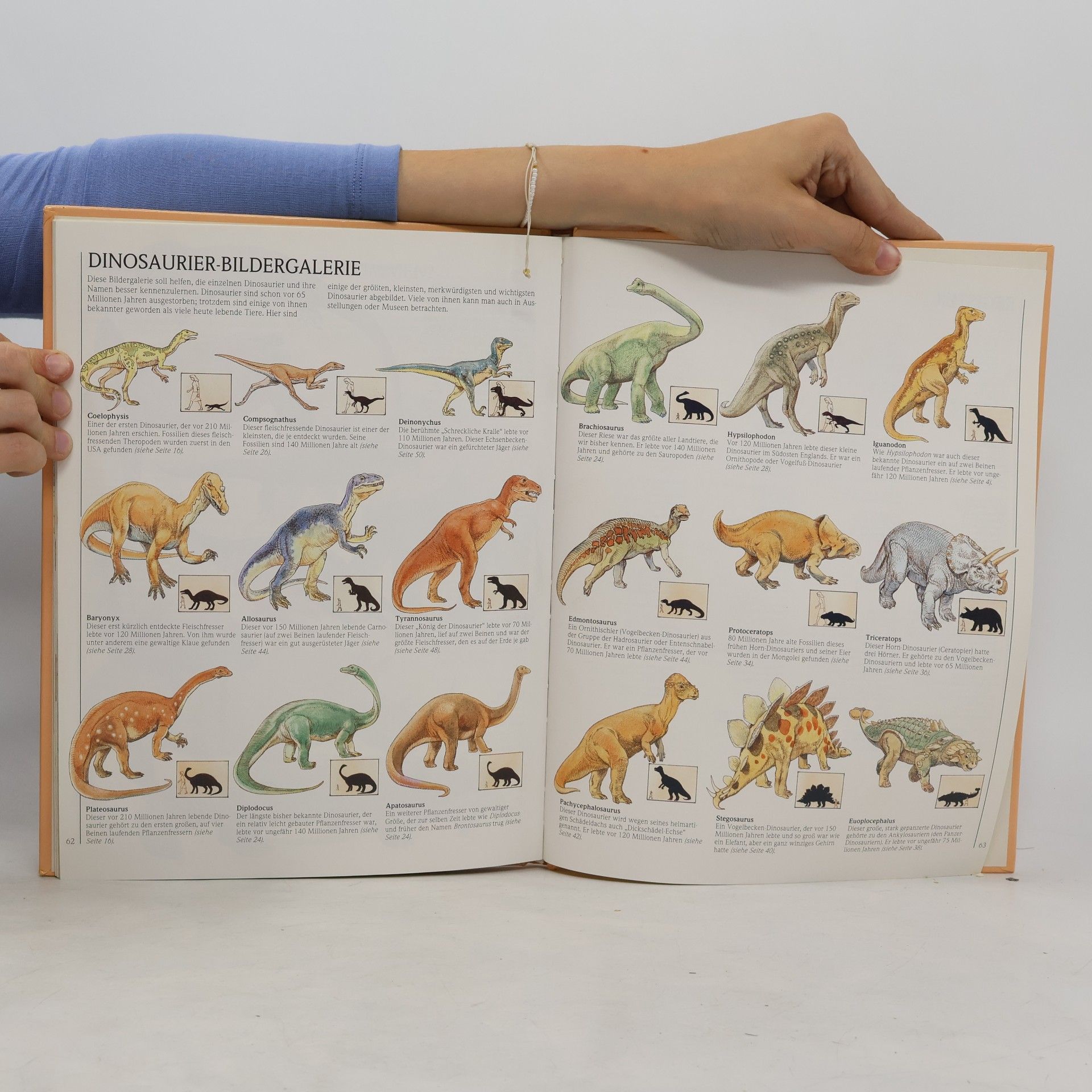 Autorenkollektiv Dinosaurier und wie sie lebten