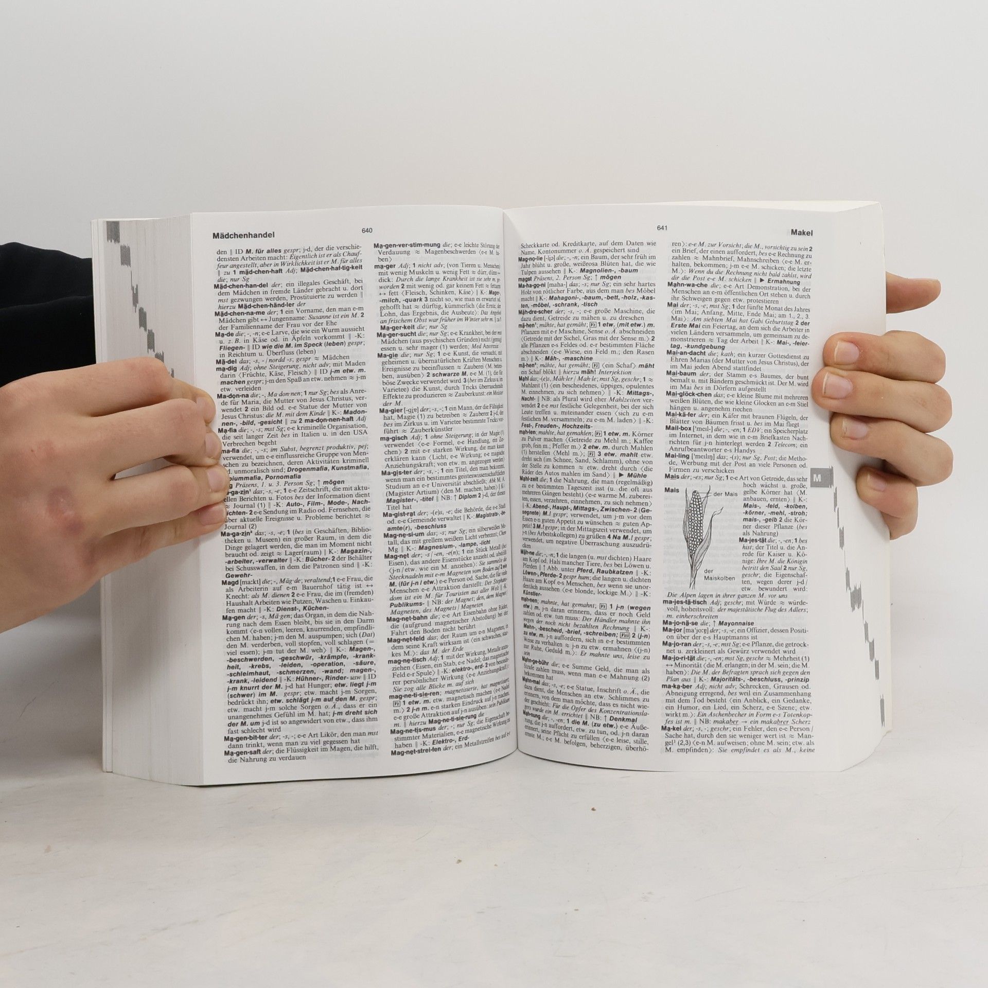 Various authors Langenscheidts Großwörterbuch Deutsch als Fremdsprache