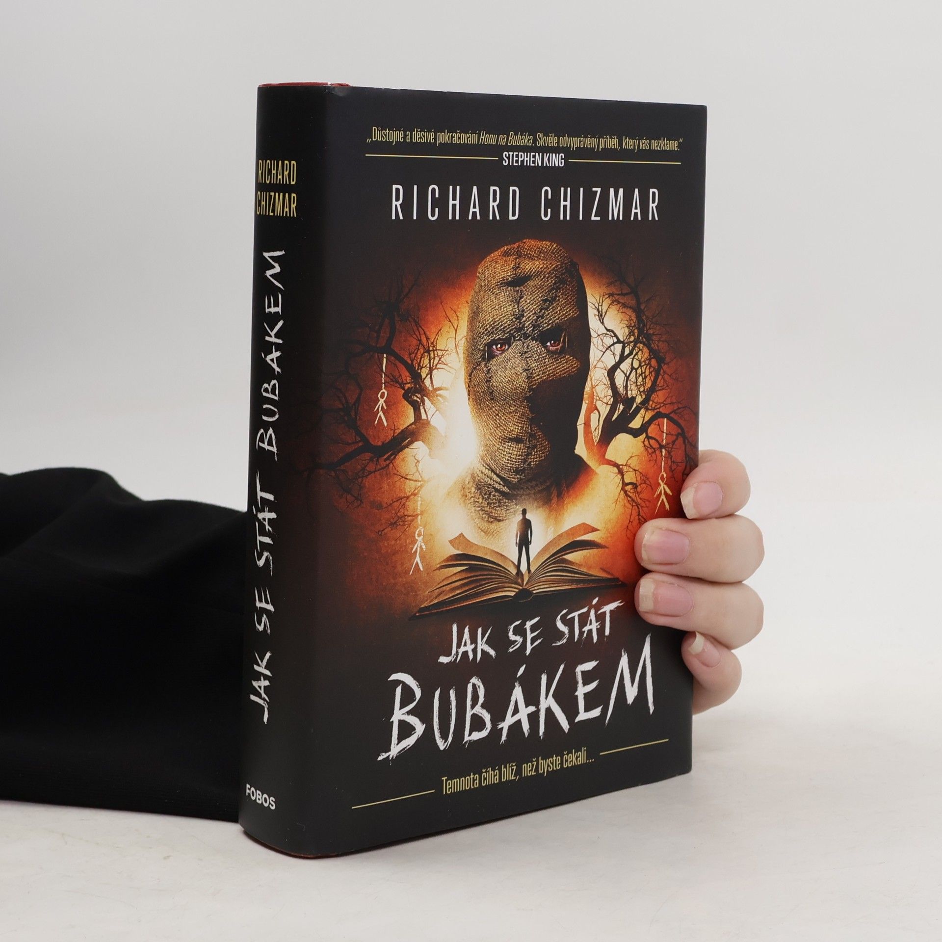 Jak se stát Bubákem