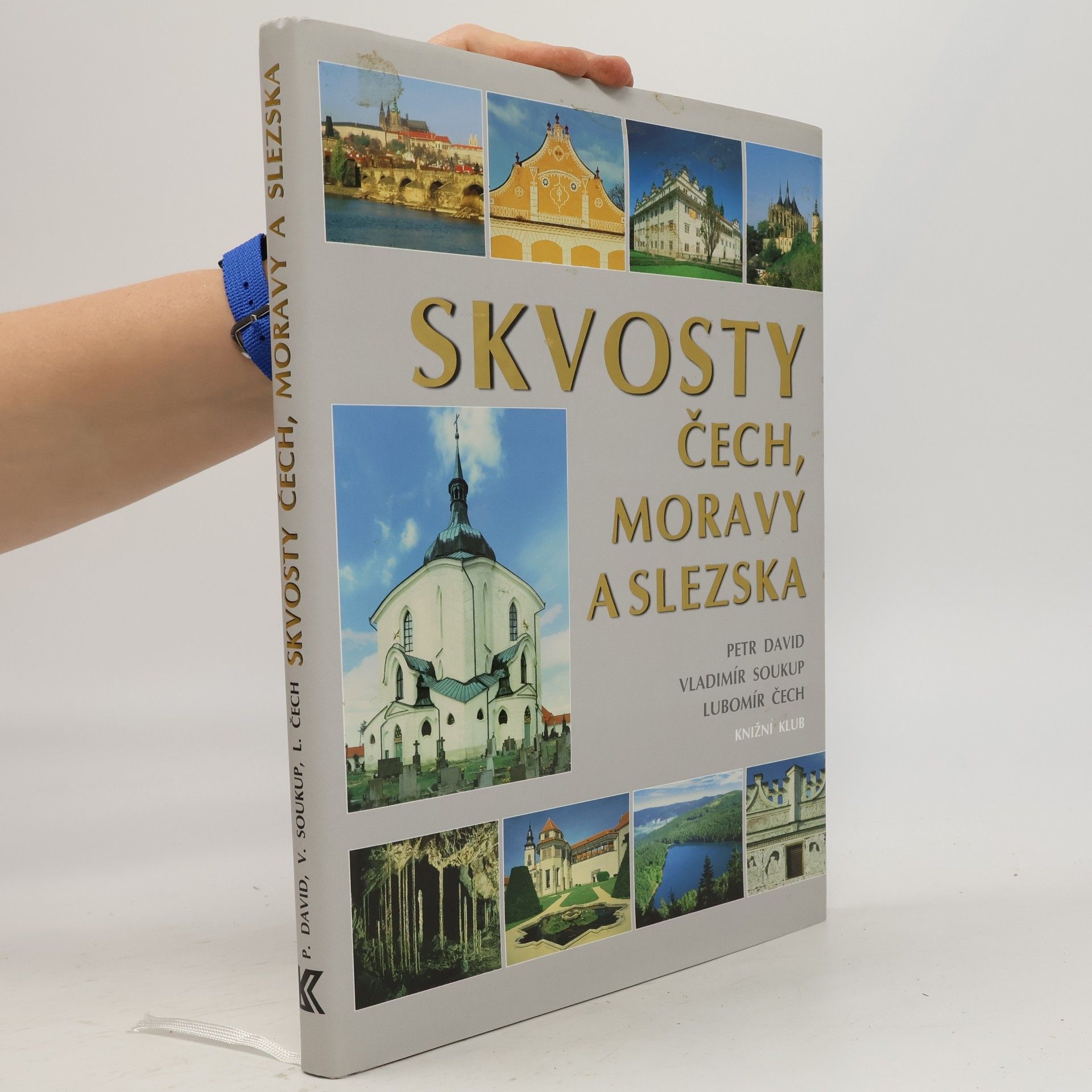 Petr David Skvosty Čech, Moravy a Slezska