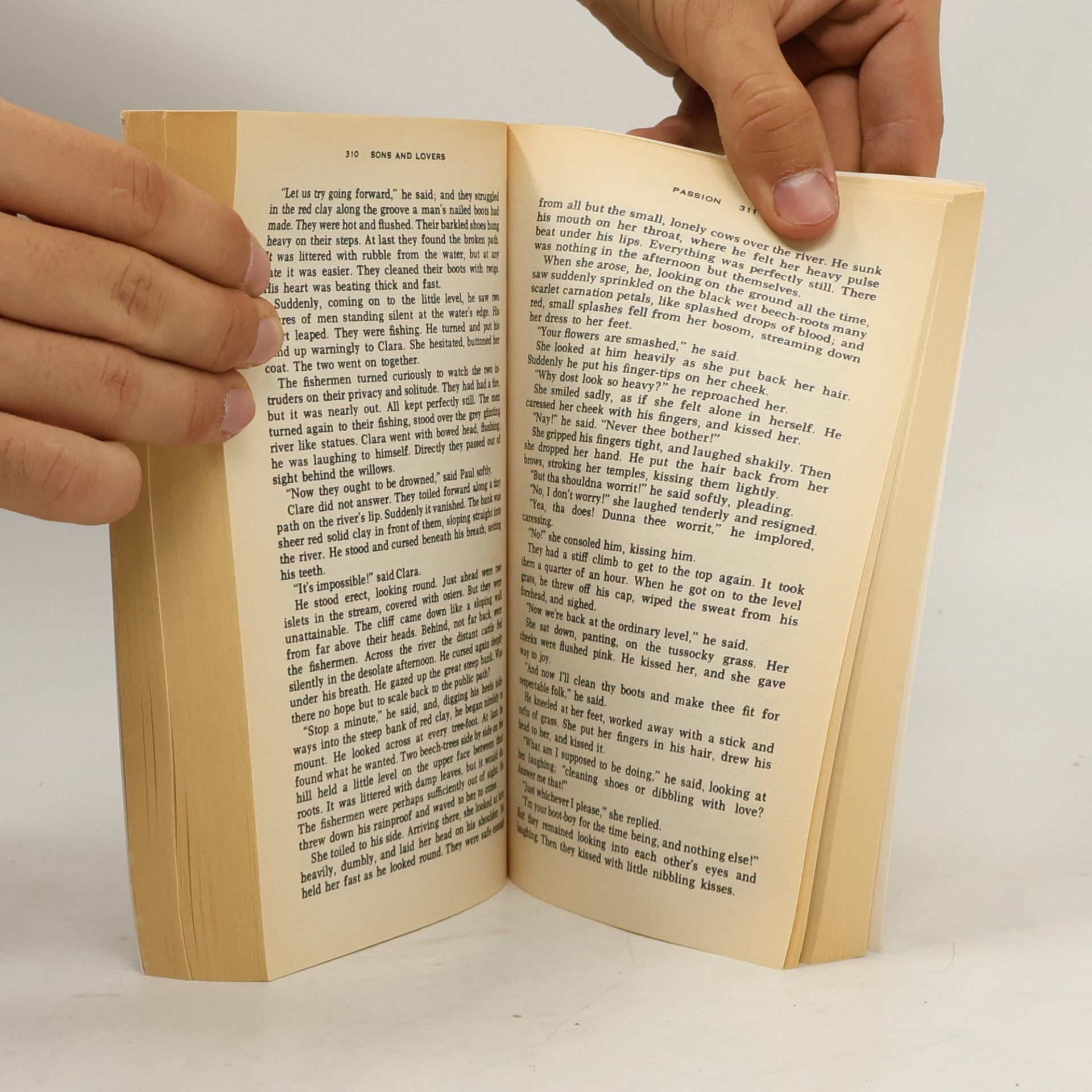D. H. Lawrence Sons and Lovers