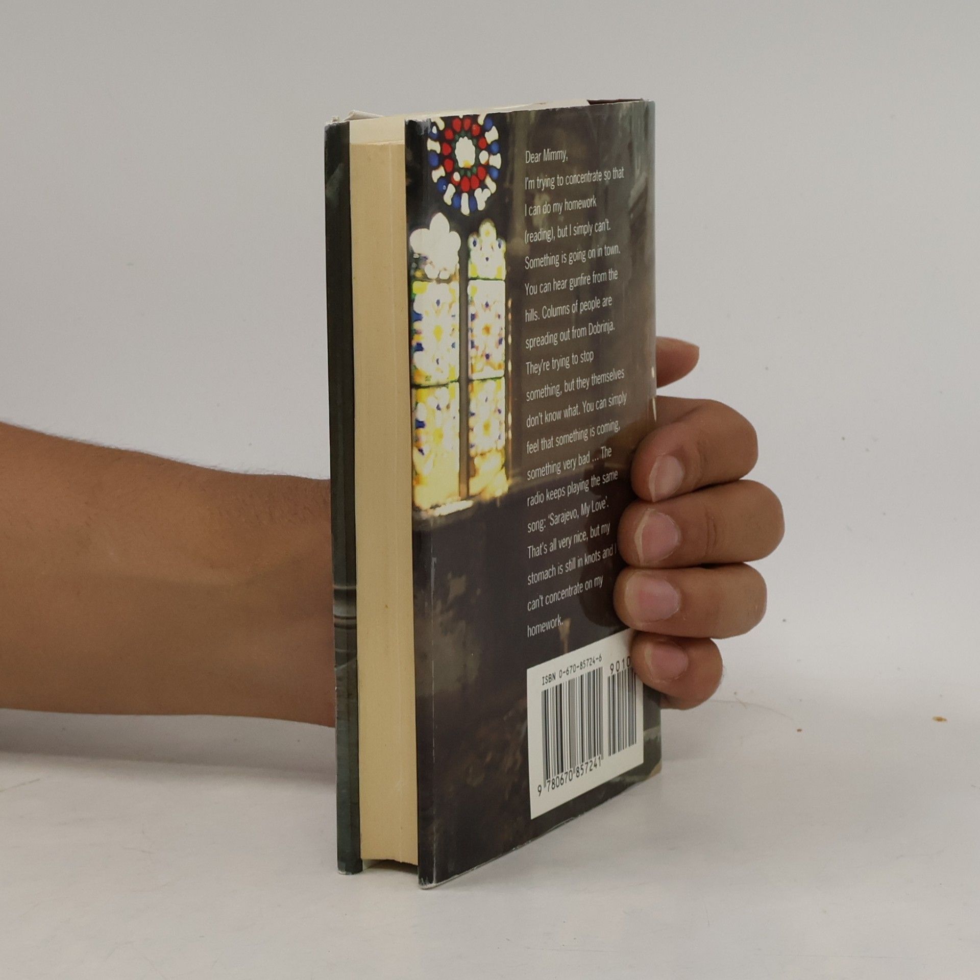 Zlata Filipović Zlata's Diary