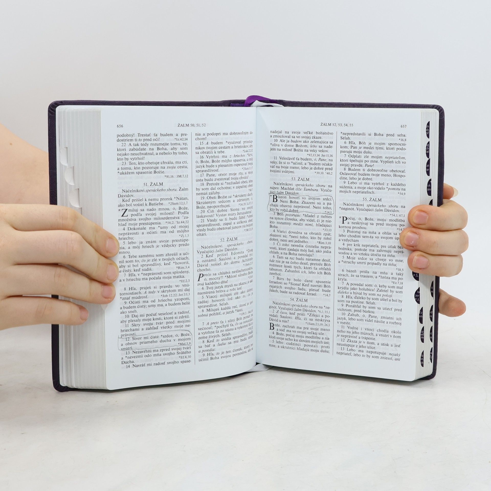 Autorenkollektiv Svätá Biblia
