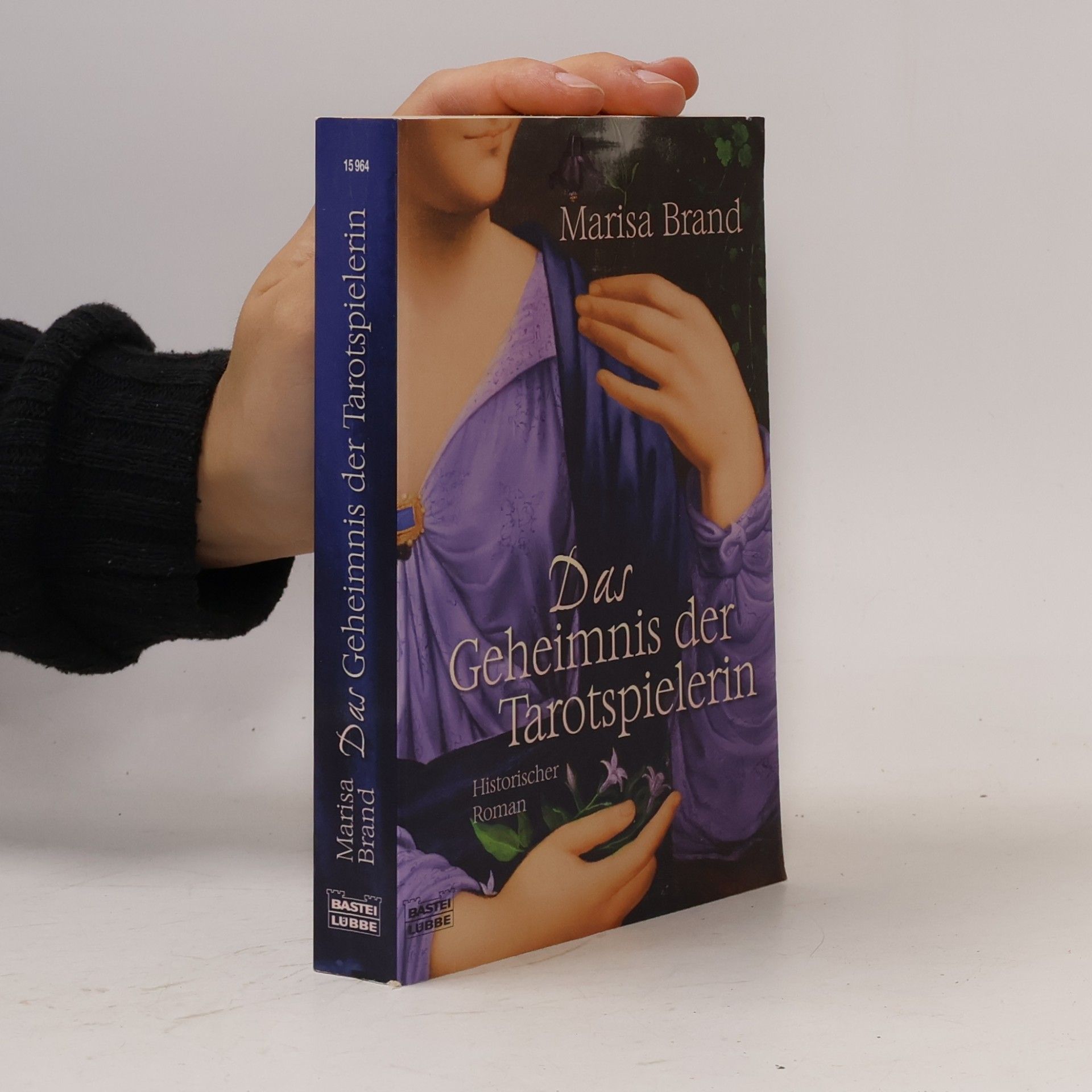 Sabine Werz Das Geheimnis der Tarotspielerin