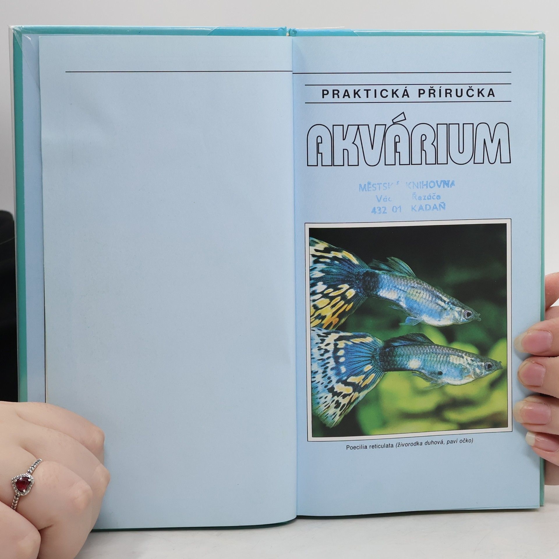Dick Mills Akvárium. Ilustrovaná příručka pro začínající akvaristy