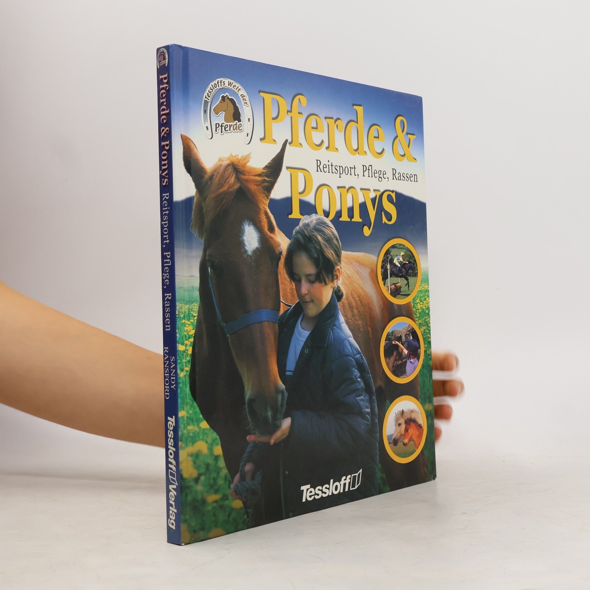 Sandy Ransford Pferde & Ponys